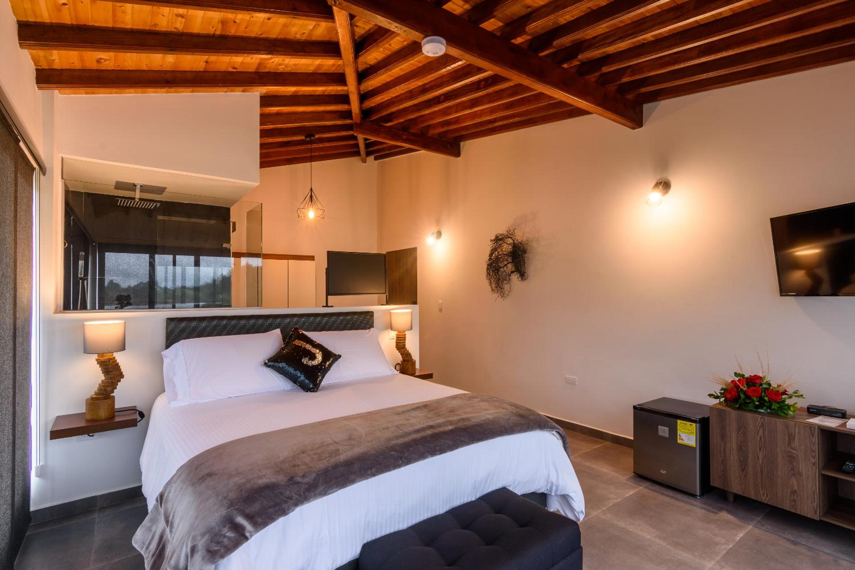 Junior Suite with Terrace photo 1