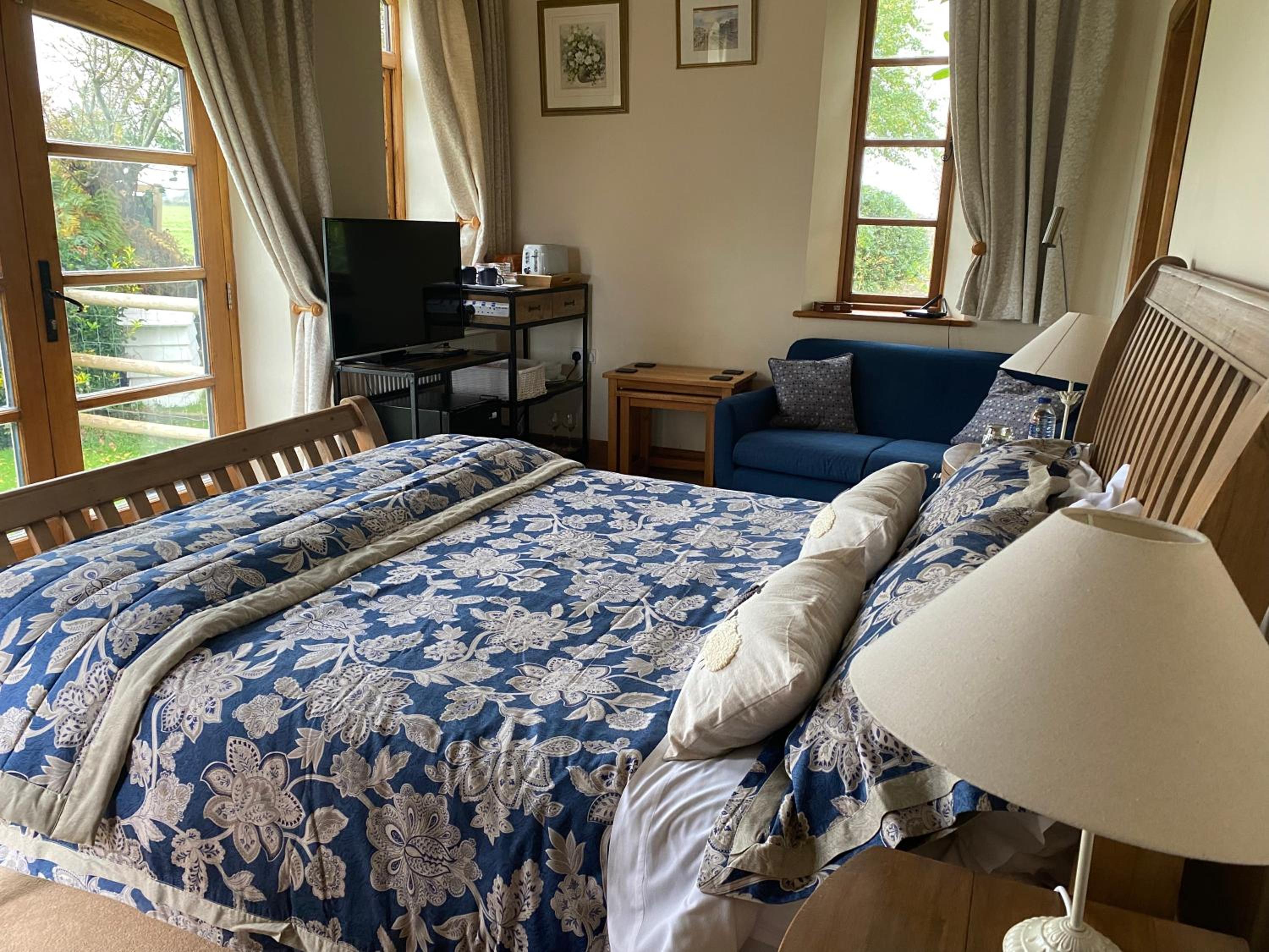 Deluxe King Suite photo 2