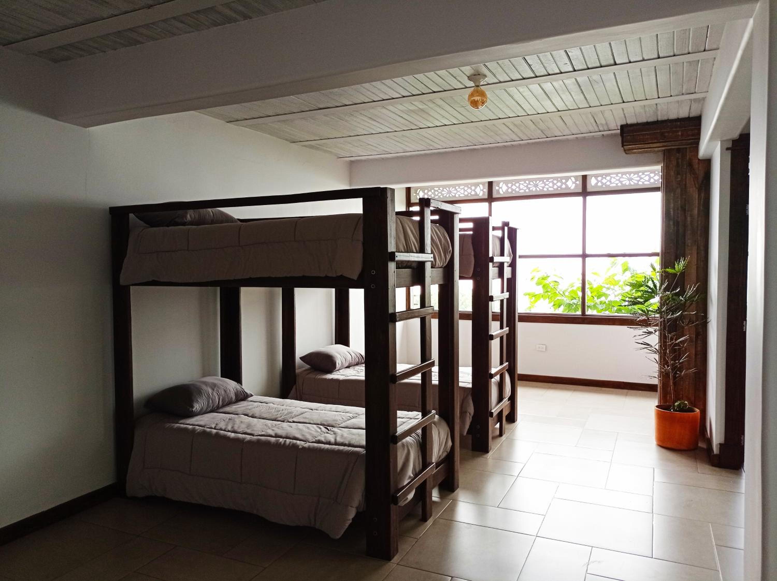 Single Bed In Mixed Dormitory Room photo 1