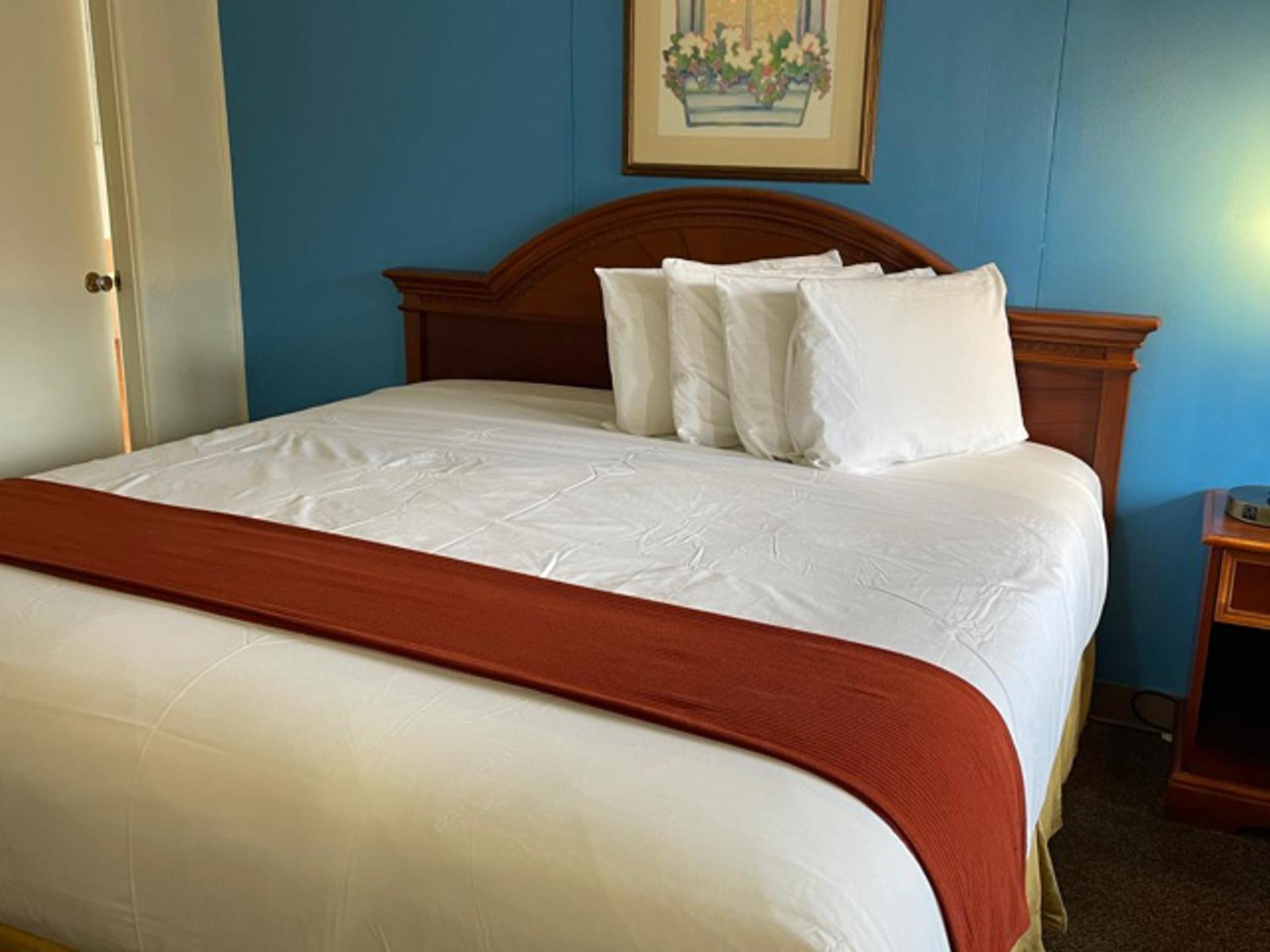 King Room photo 1