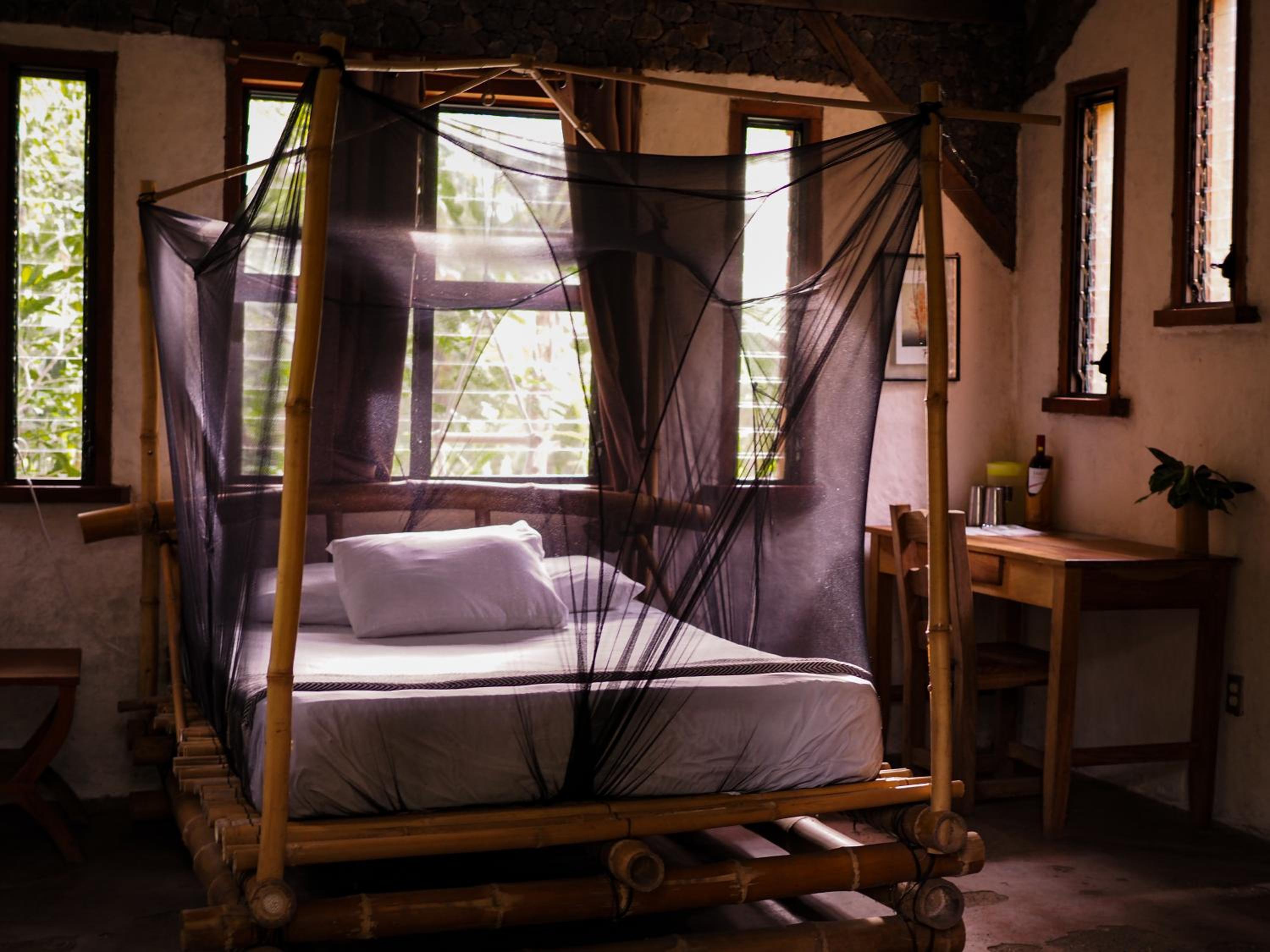 Rustic Suite with Forest View photo 1