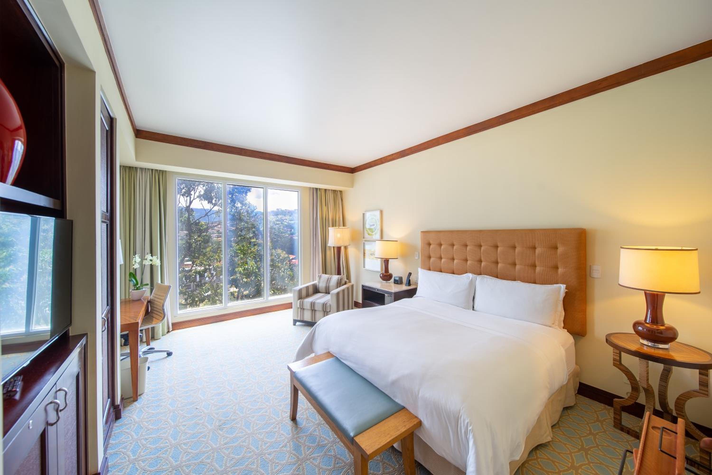 Premium King Room - Club Lounge Access/Top Floor - Photo 3