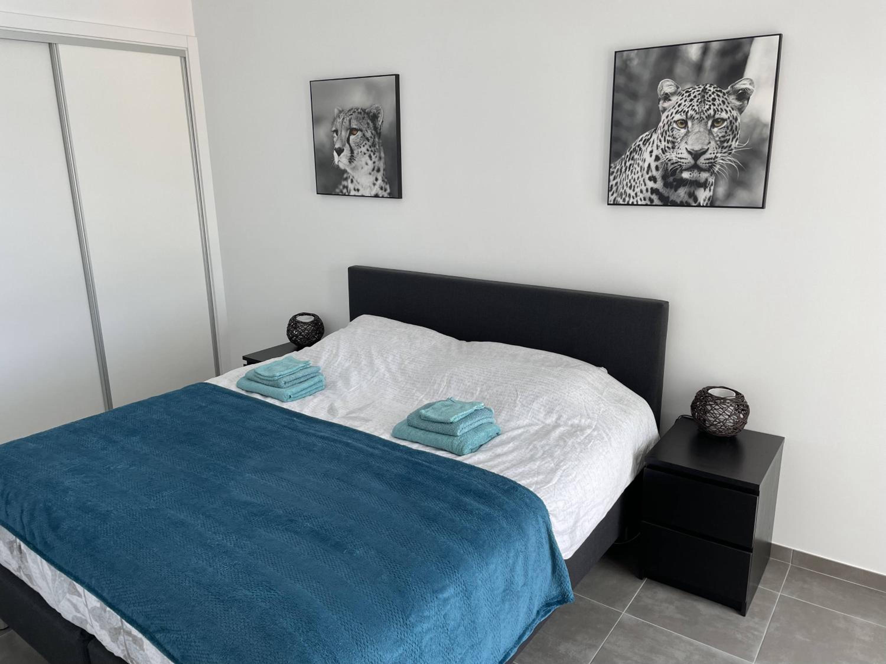 Three-Bedroom Villa photo 3