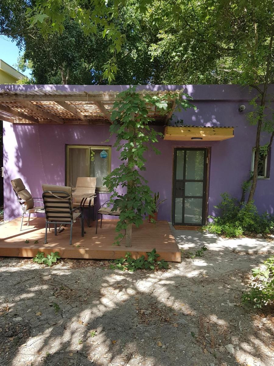 One-Bedroom House - Photo 19