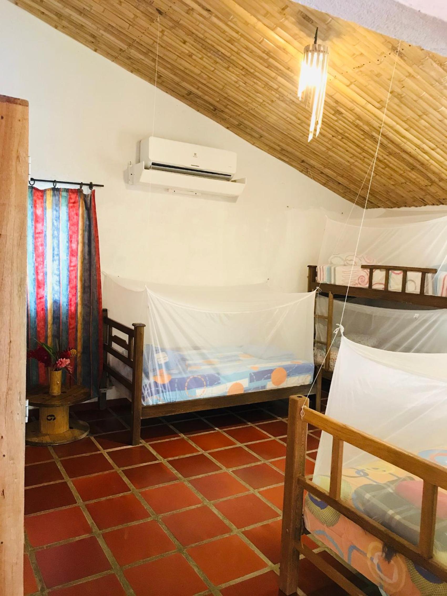 Bed in 4-Bed Mixed Dormitory Room photo 1