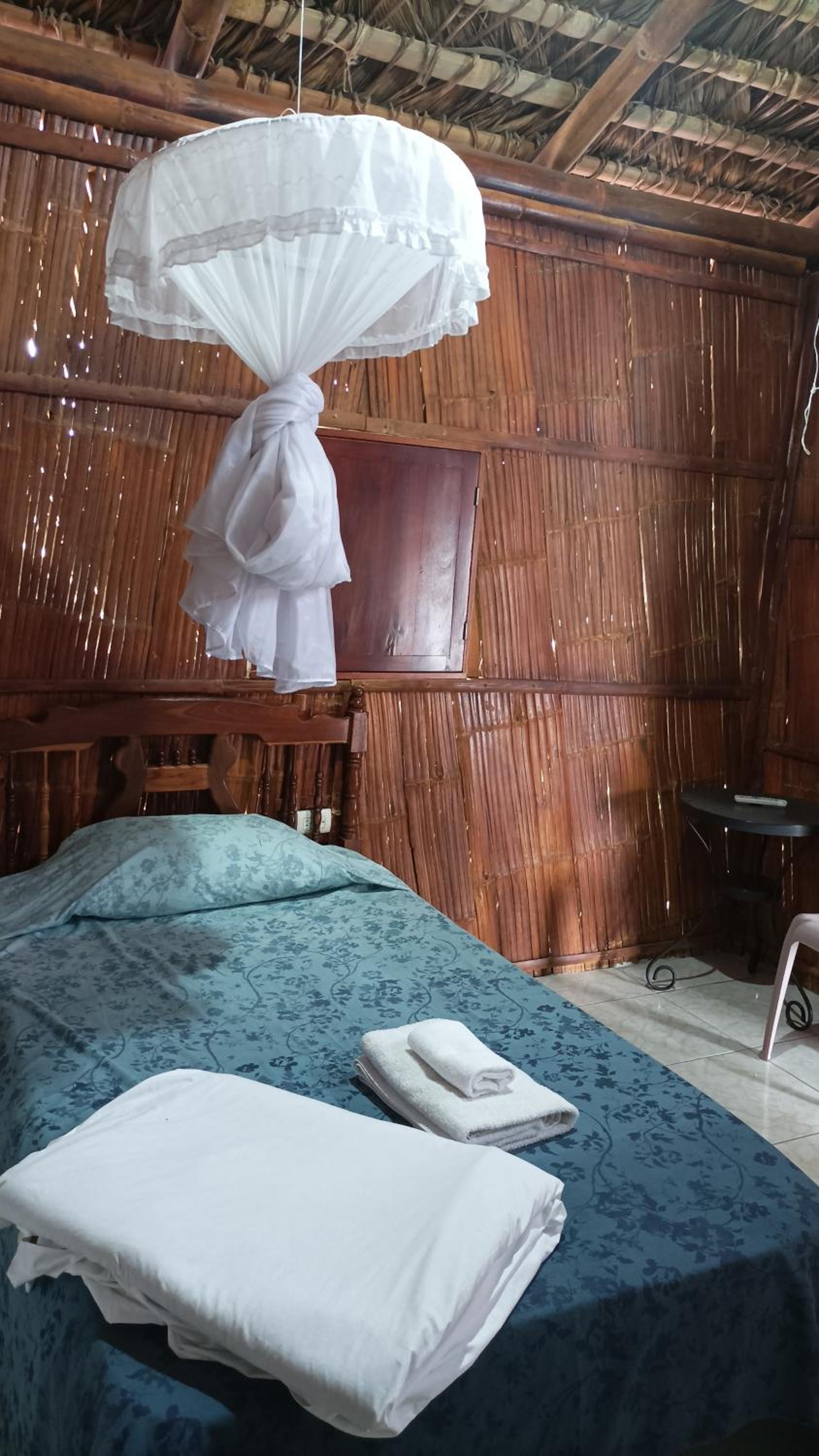Single Room with Pool View photo 3