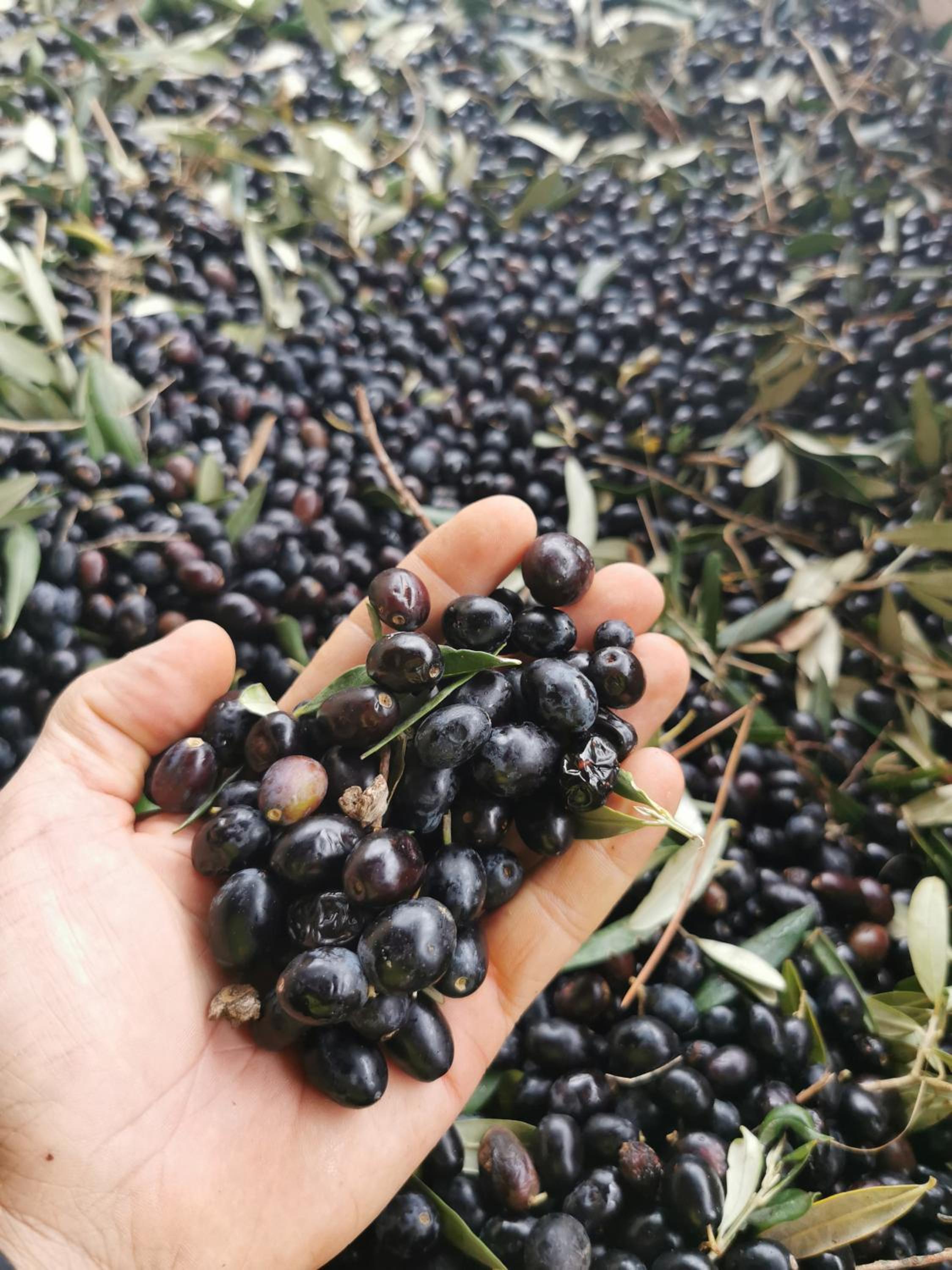 Superior Family Room - Photo 6