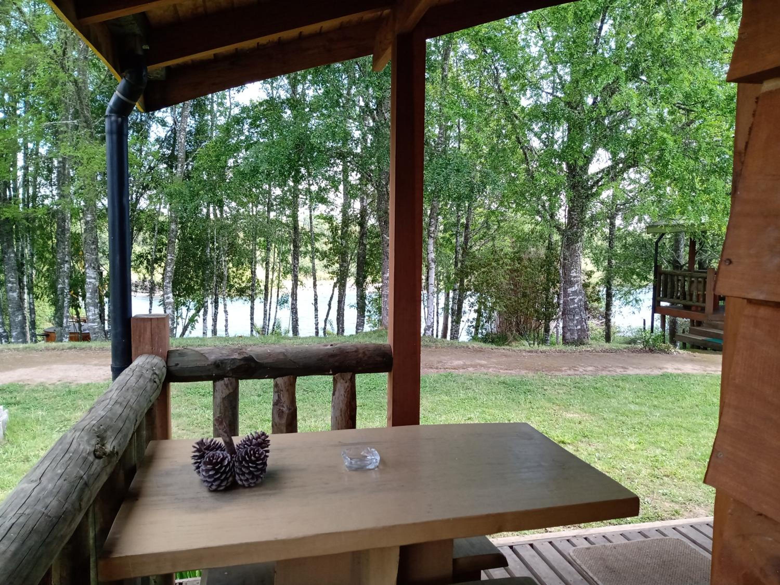 Apartment with Terrace photo 3