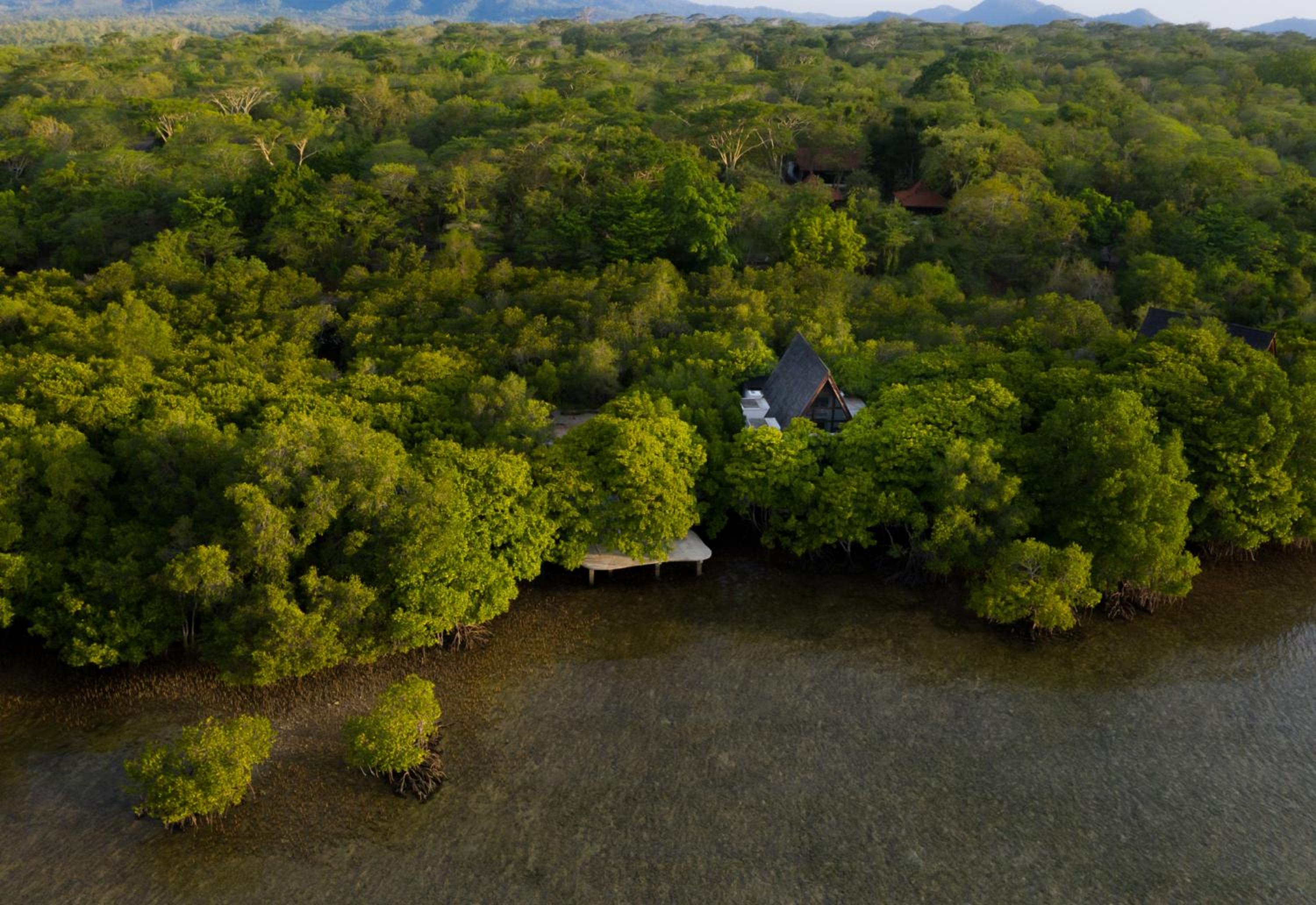 Founder's Home at Ocean Front Mangrove Villa with Free Water Sport and Trekking - Photo 2