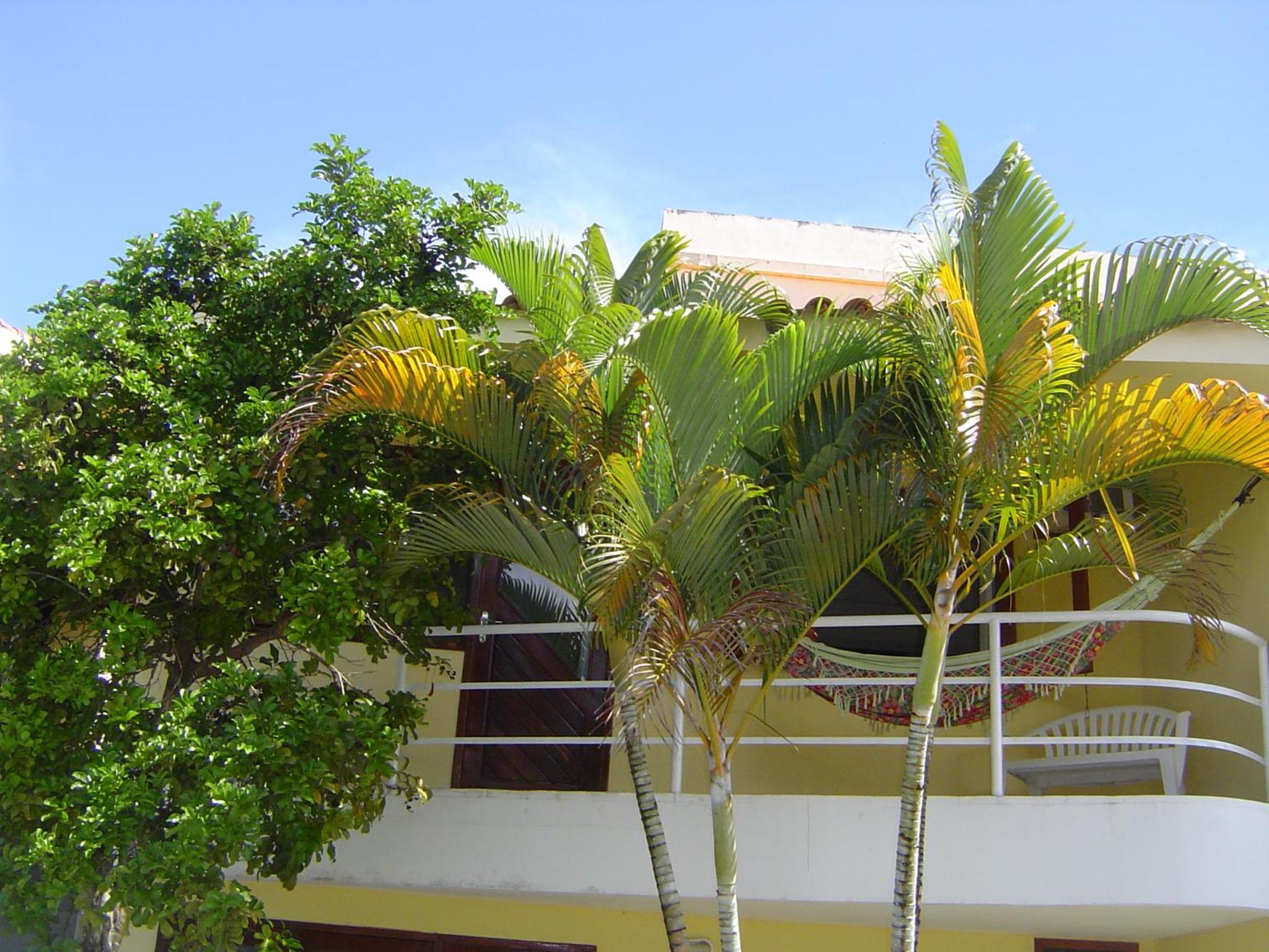Apartment - Photo 21