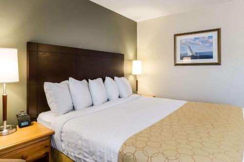 Standard King Room - Non-Smoking  photo 2