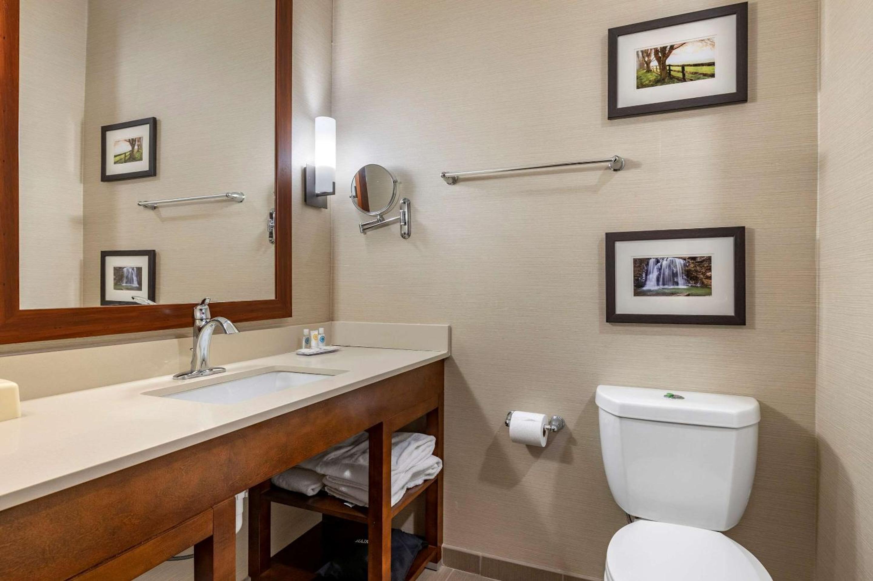 King Suite - Non-Smoking photo 2