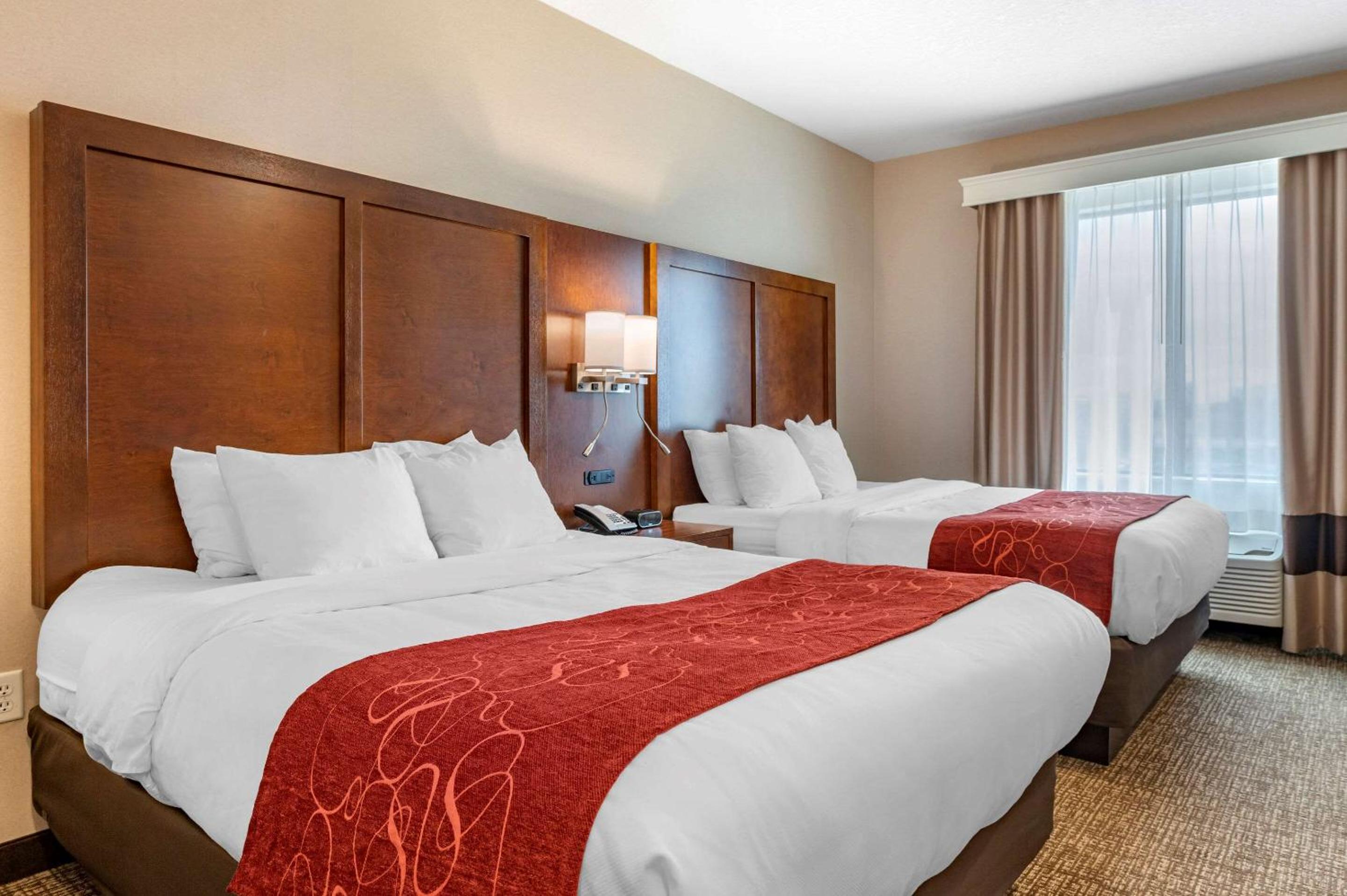 Queen Room with Two Queen Beds - Non-Smoking photo 1