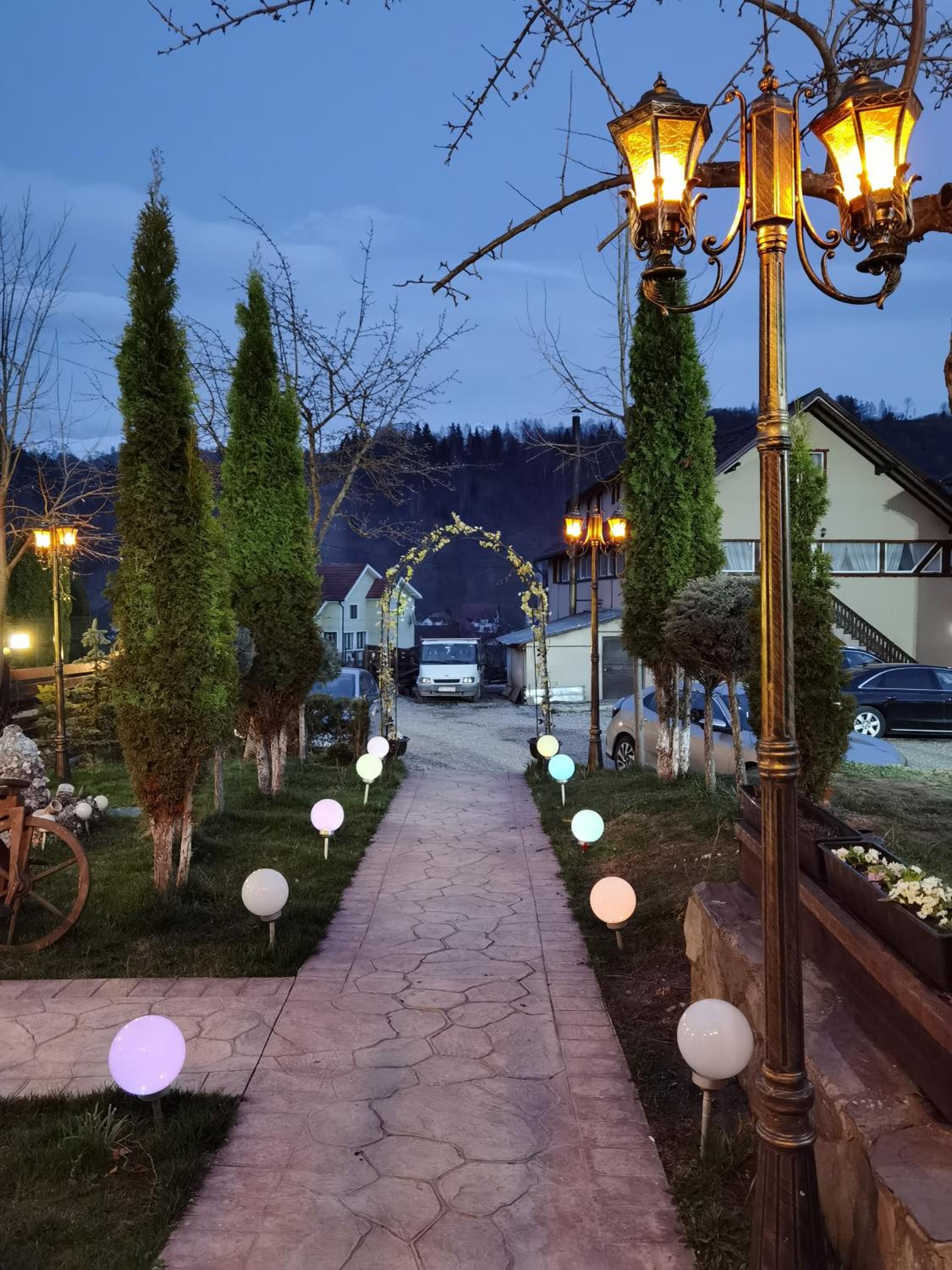 Superior Villa photo 3