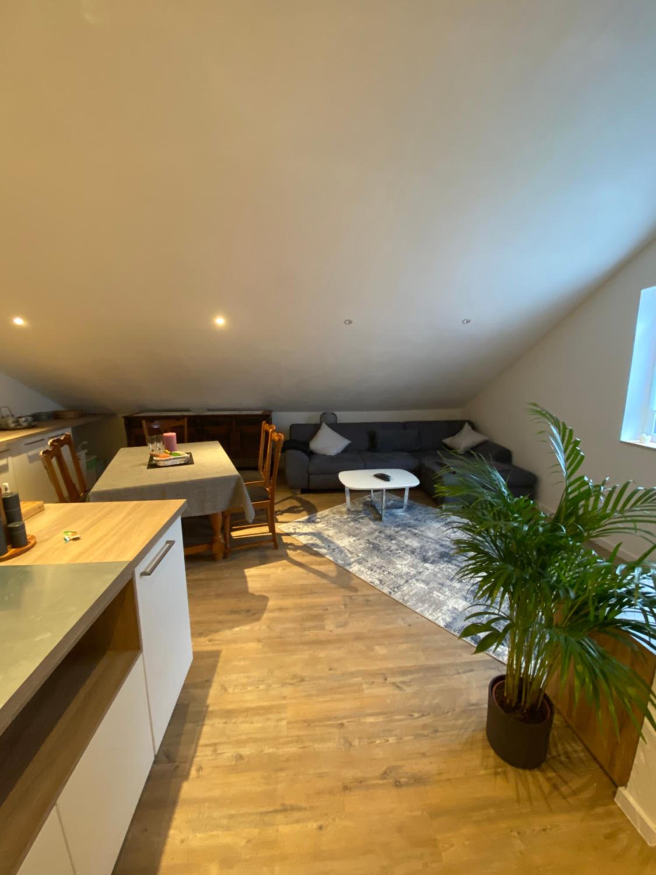 One-Bedroom Apartment photo 3