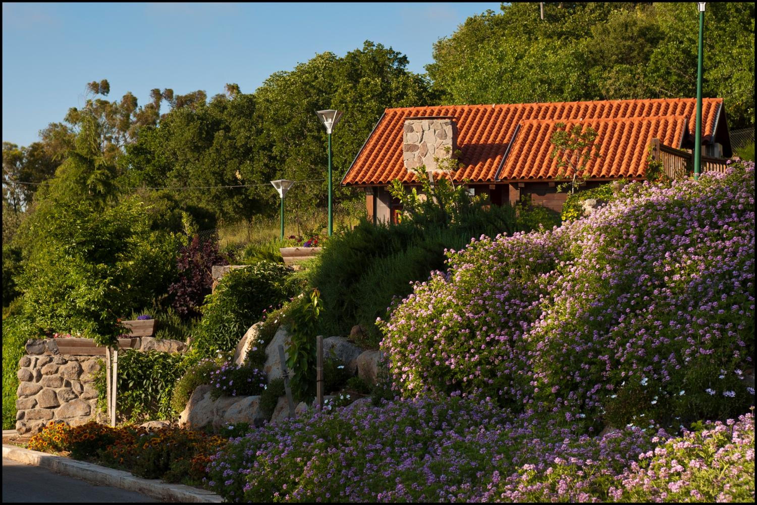 Chalet - Photo 6