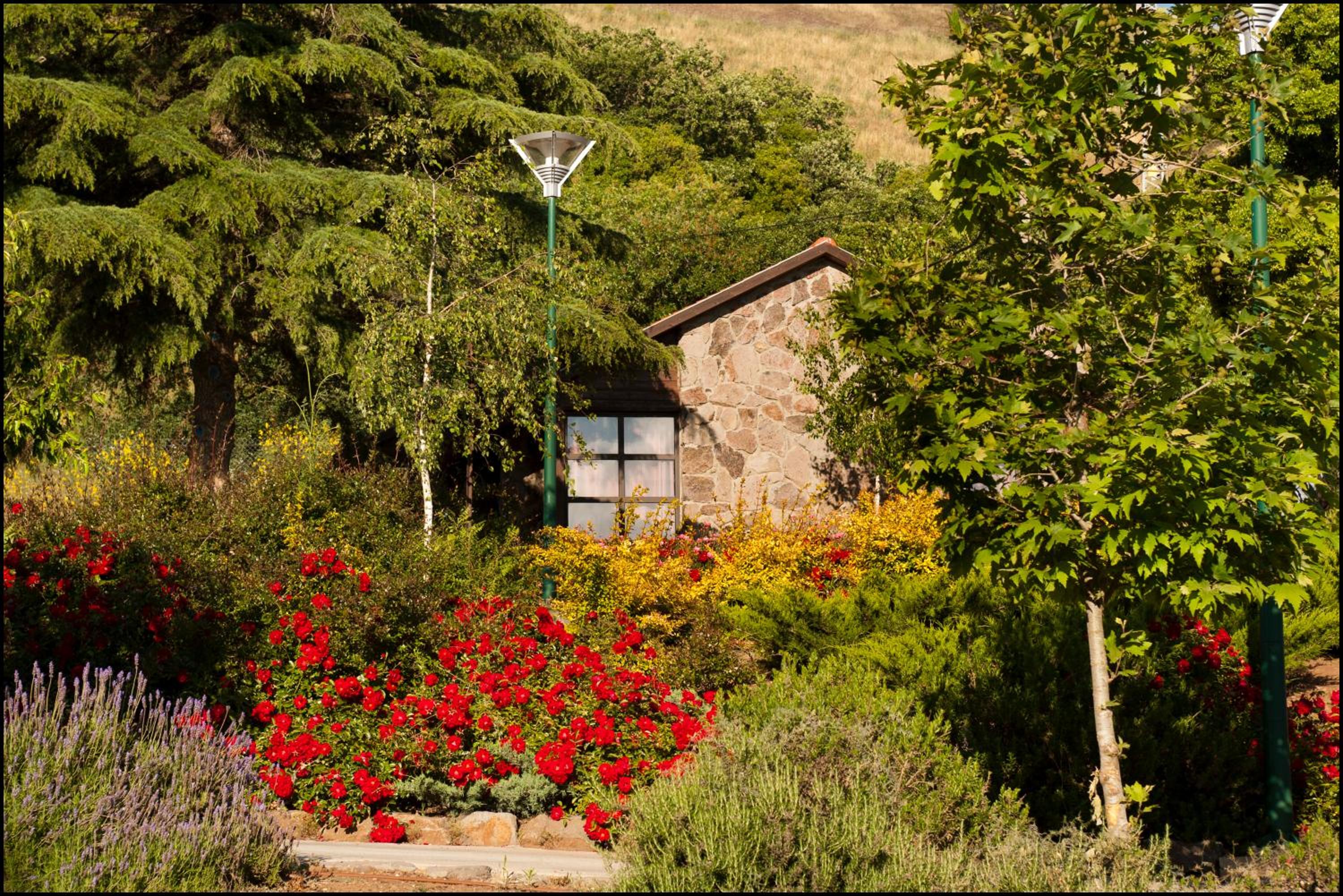 Chalet - Photo 7