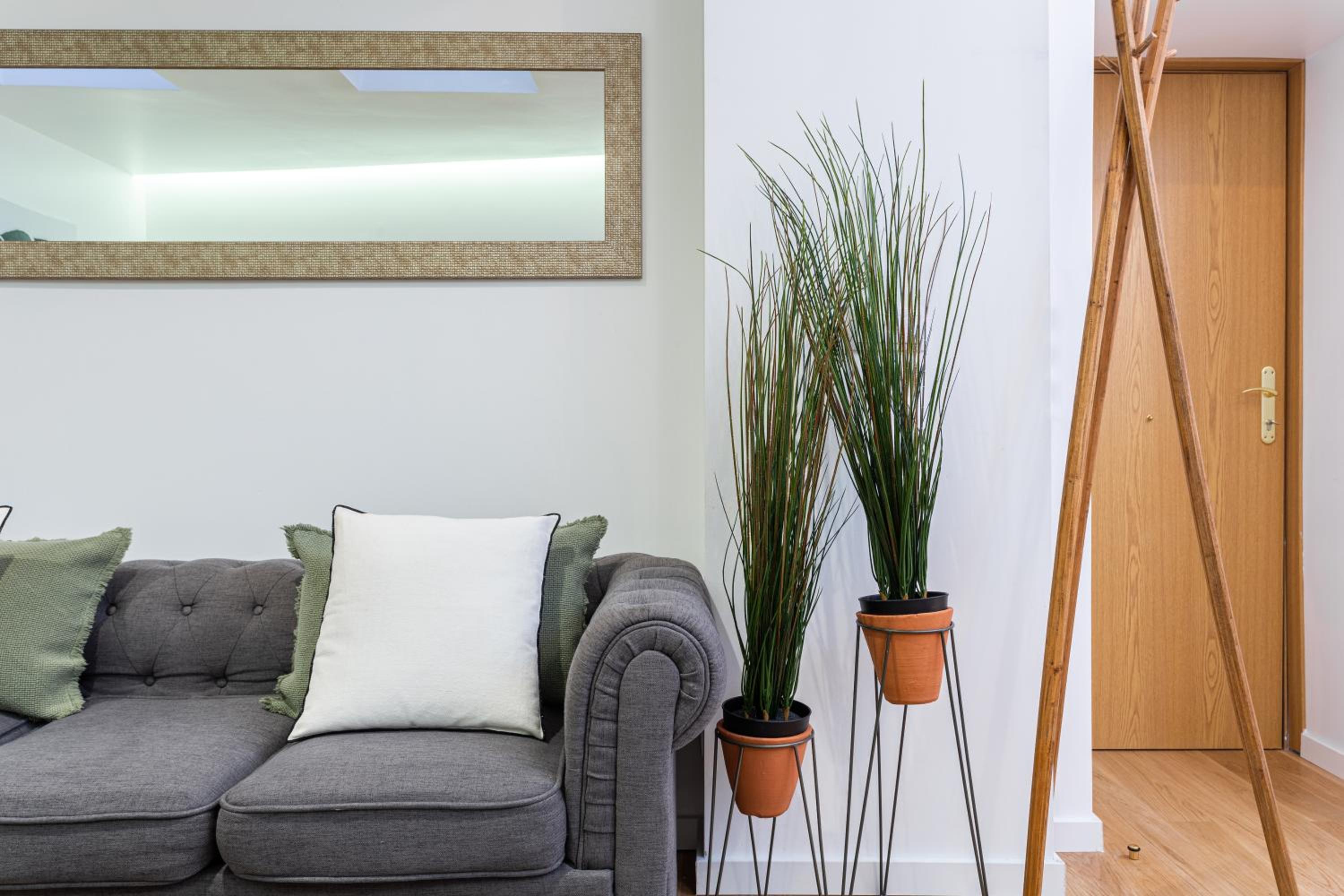 Apartment with Terrace photo 3