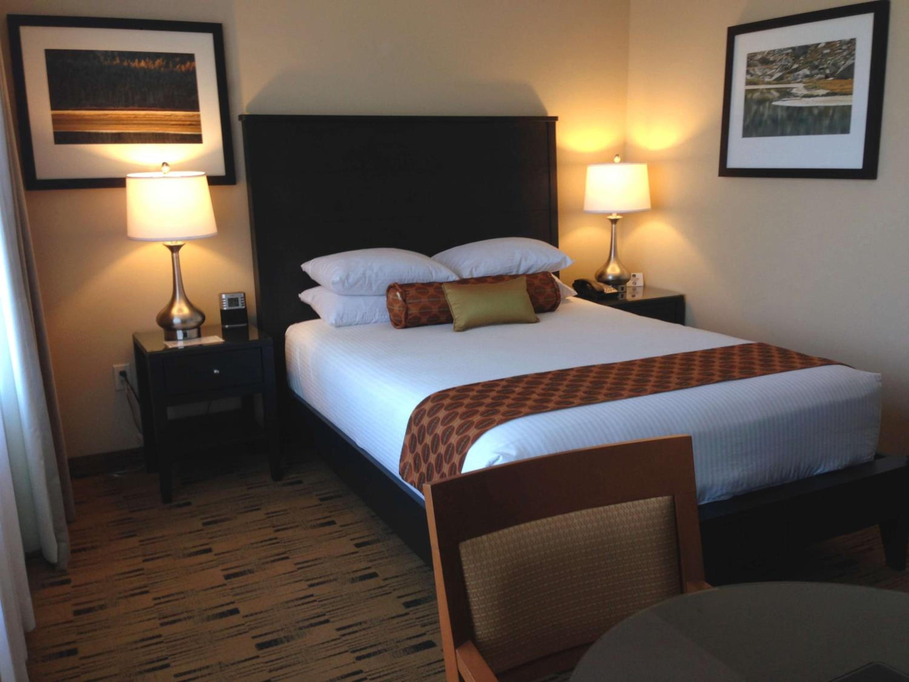 Executive Economy Queen Room - Adults Only - No Pets