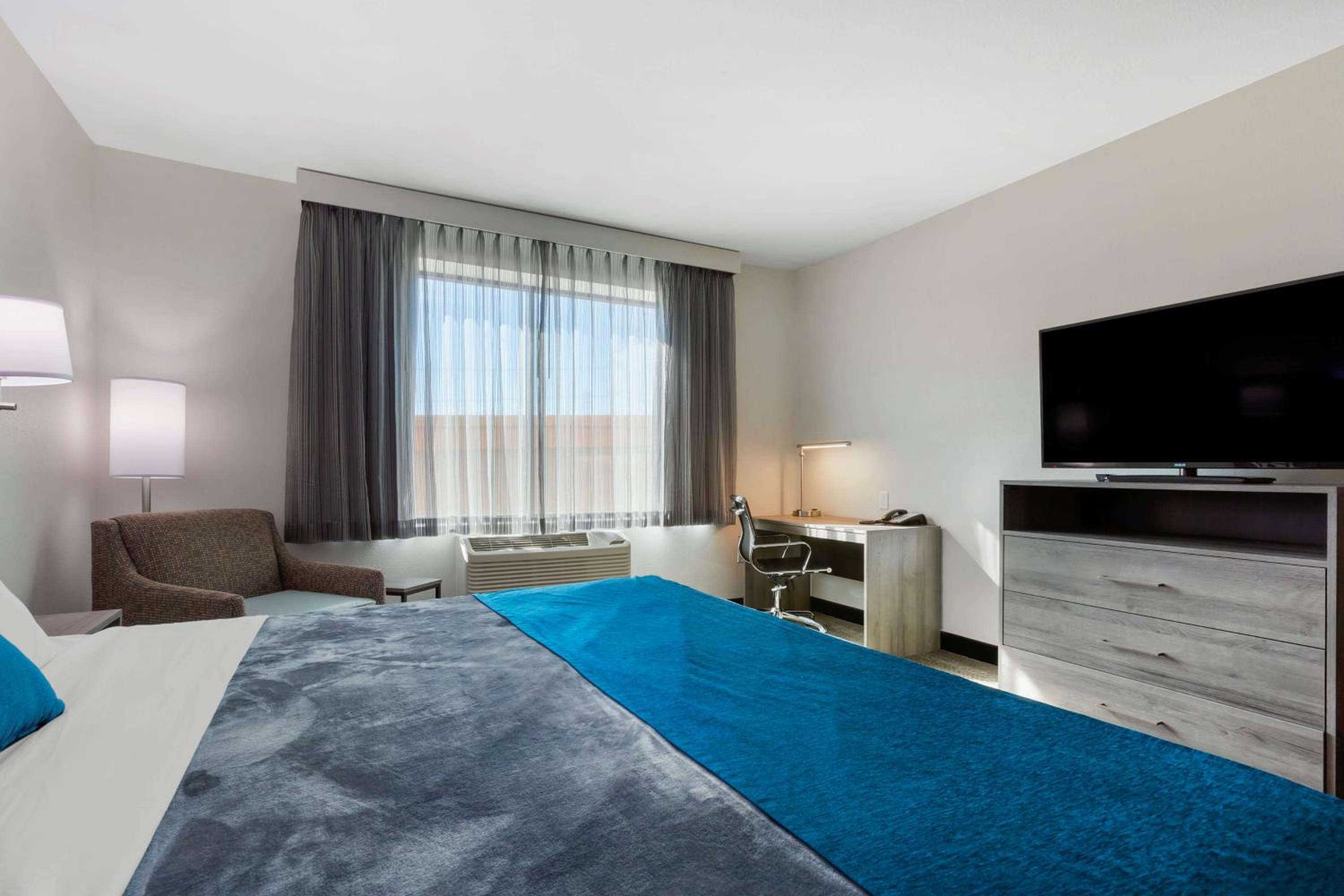 Large King Room - Photo 4