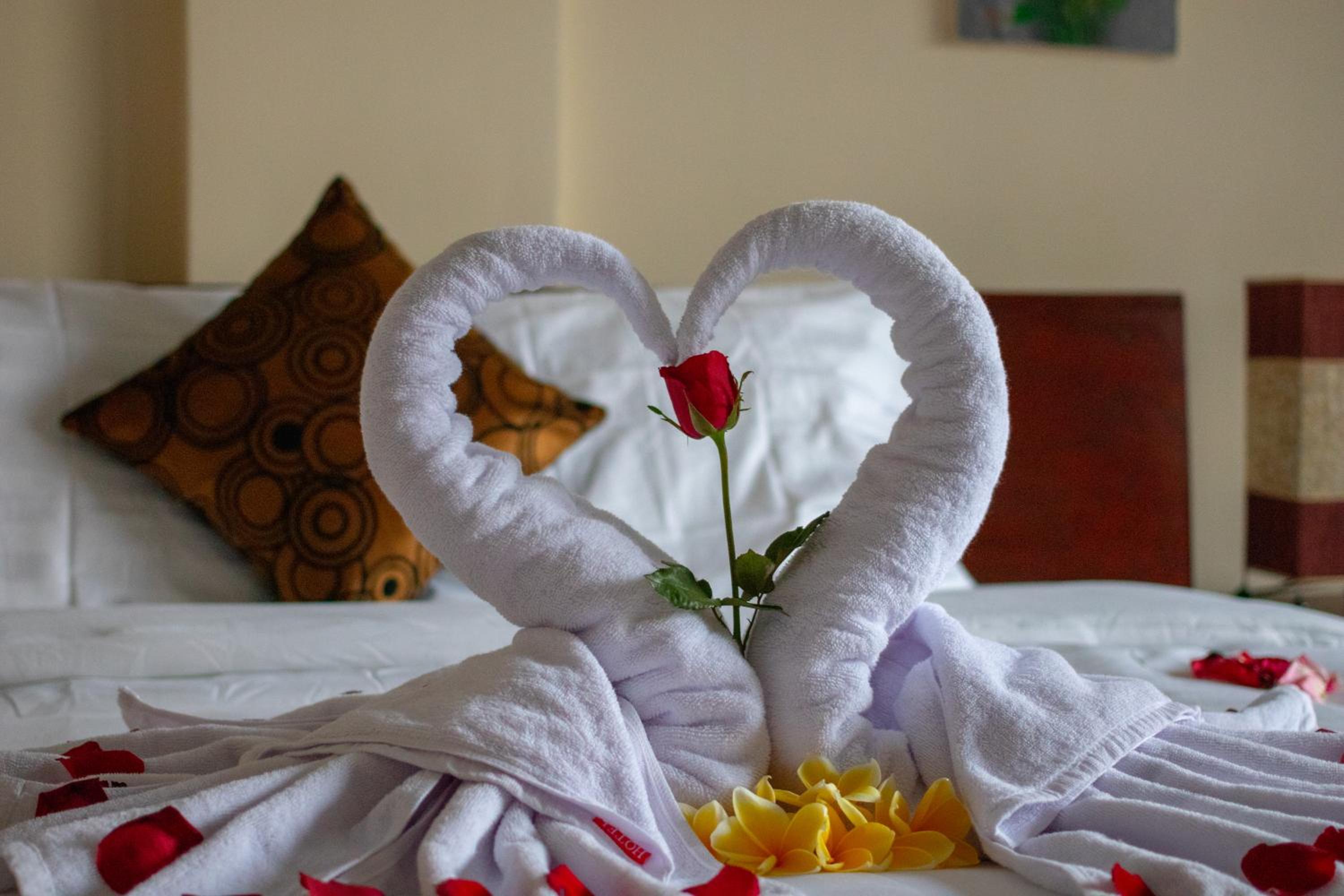 Standard Double Room - Photo 4