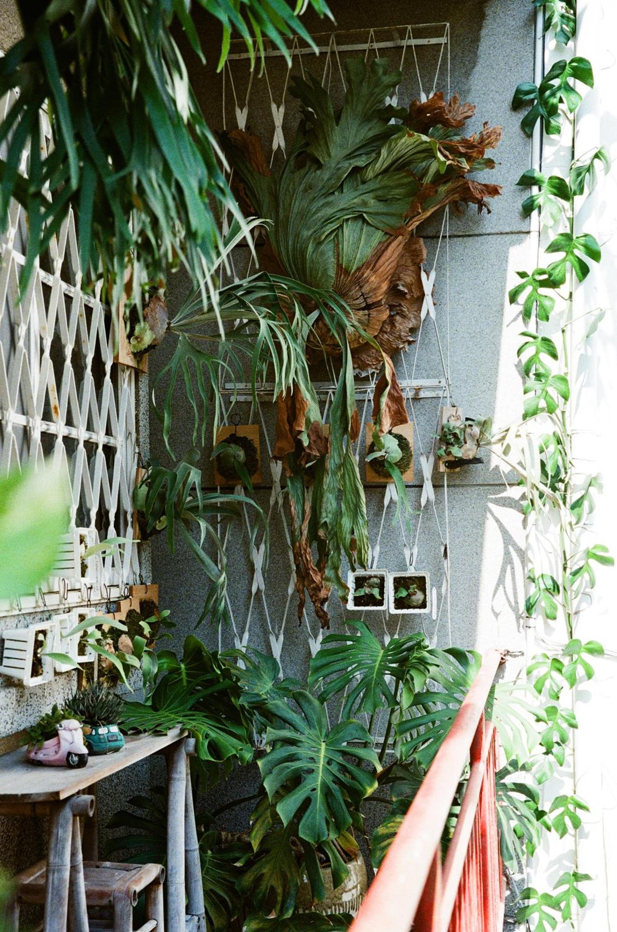Double Room with Balcony (shared bathroom) photo 3