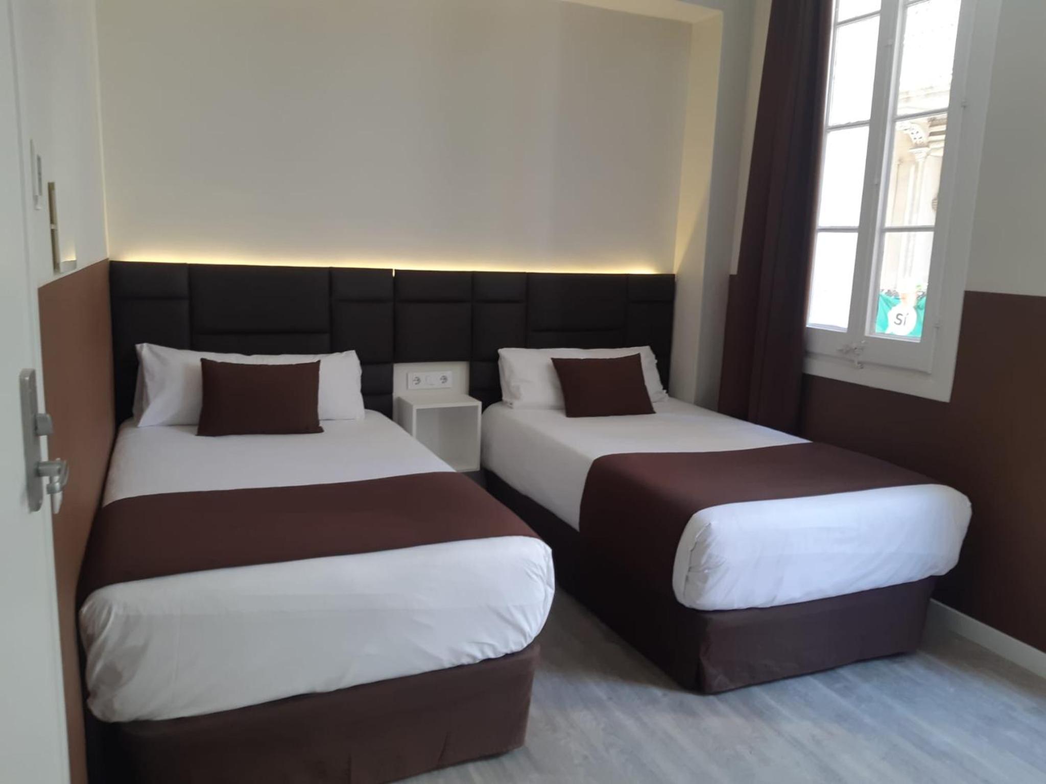 Twin Room photo 2