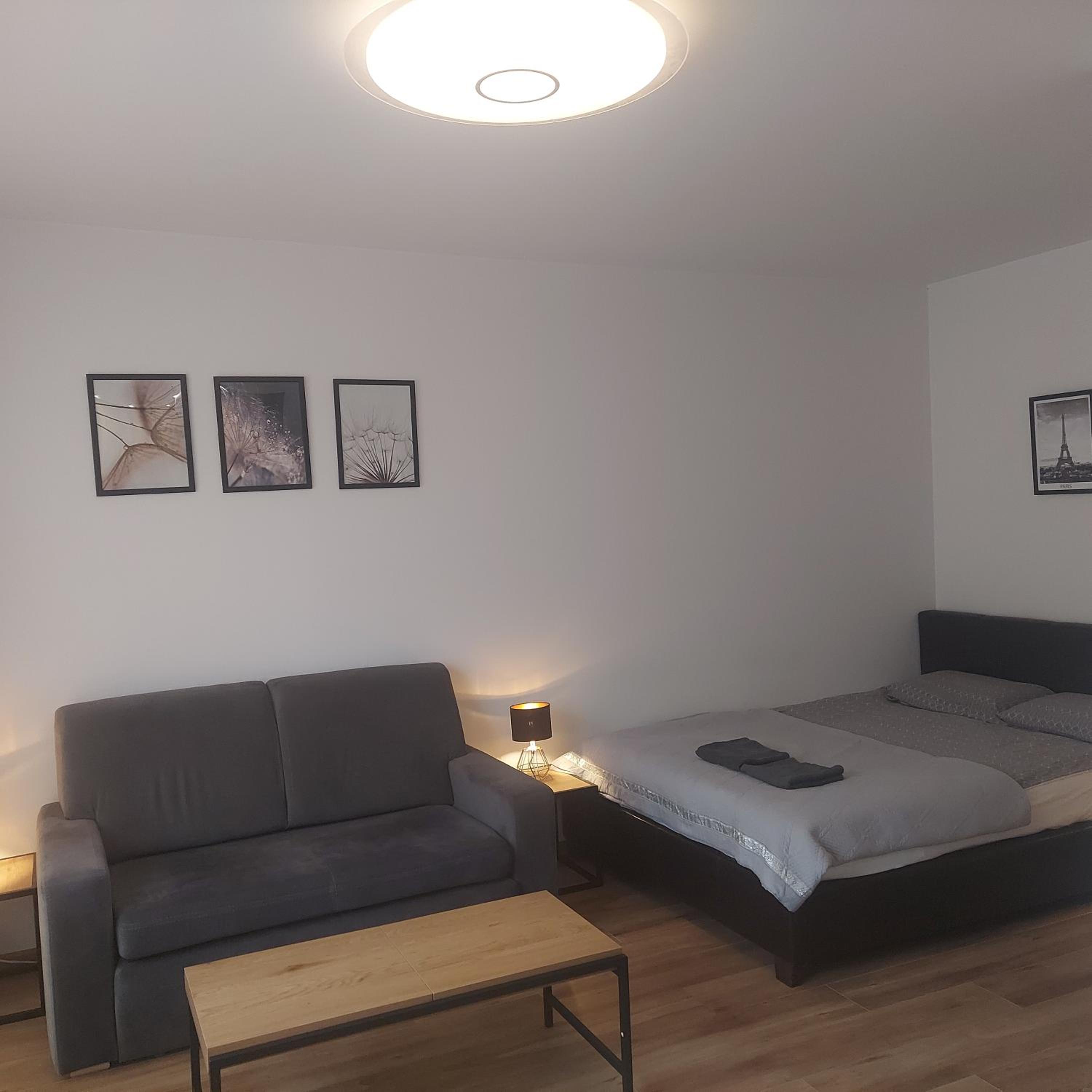 One-Bedroom Apartment - Photo 6