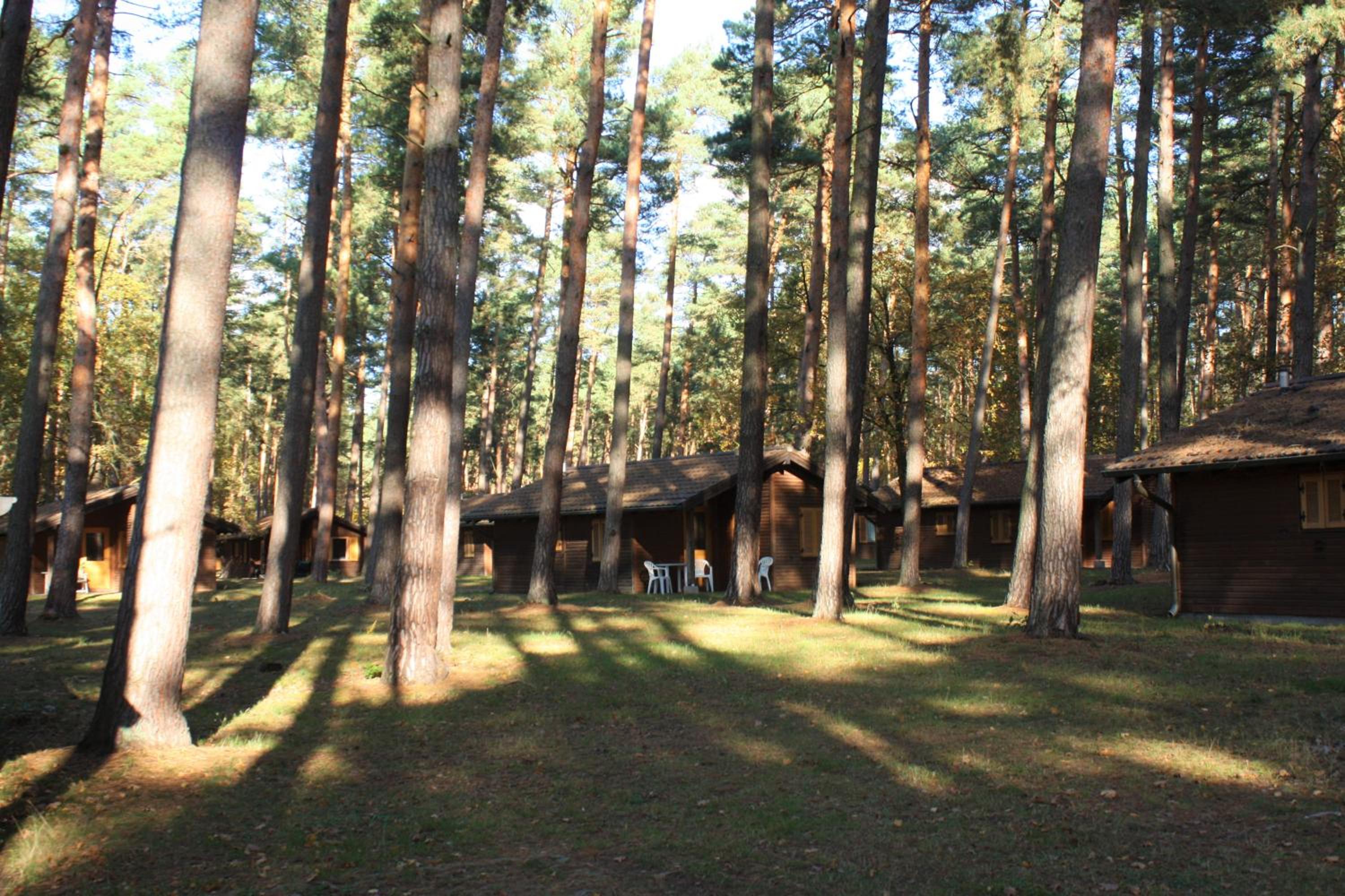Two-Bedroom Bungalow photo 3