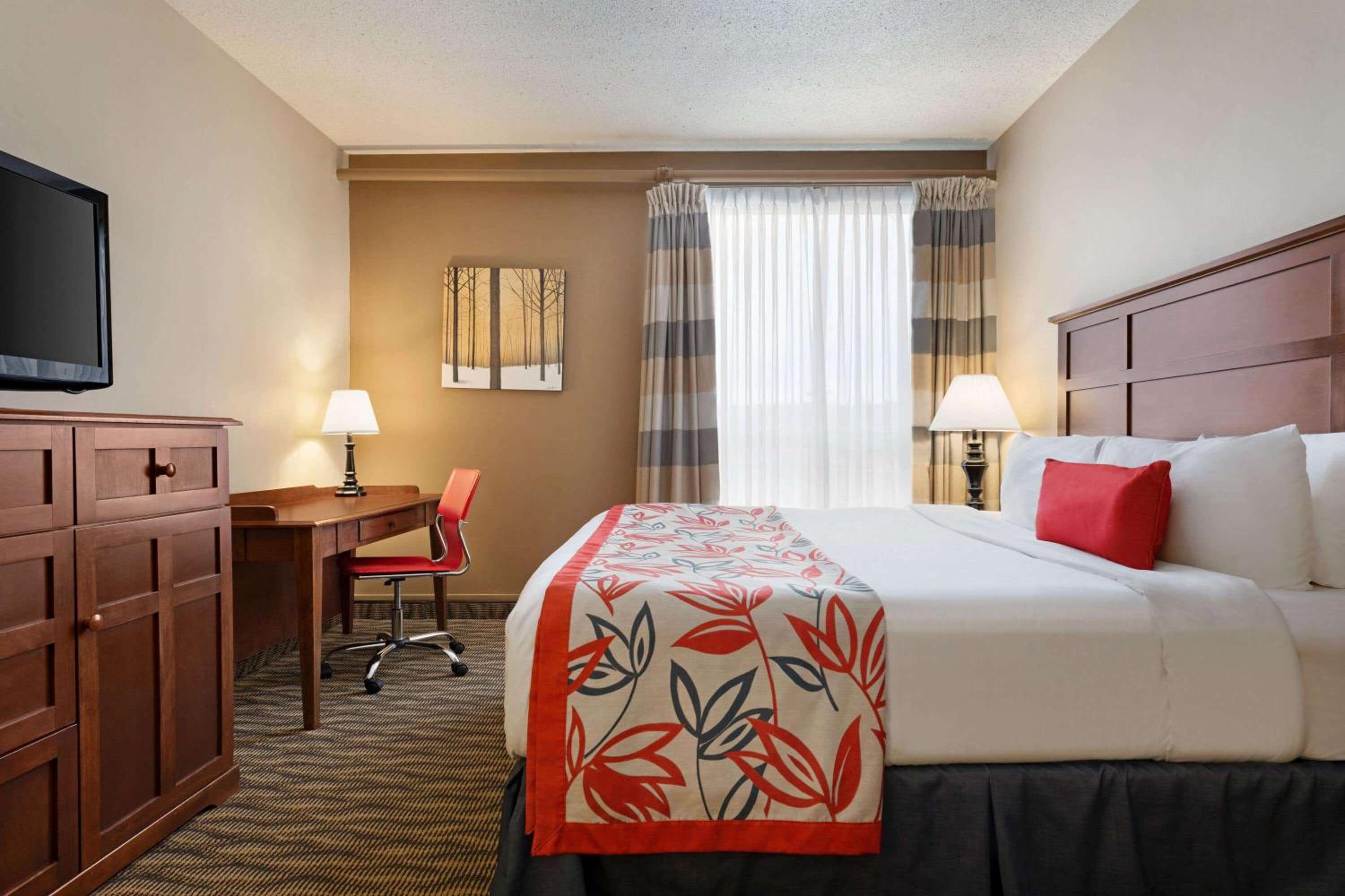 King Room with Sofa Bed - Pet-Friendly/Non-Smoking photo 1
