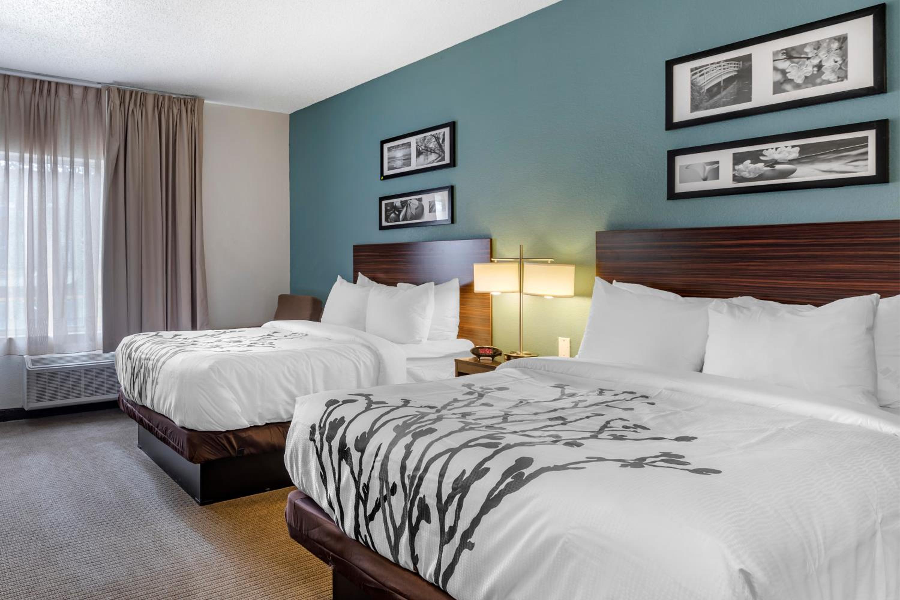 Standard Double Room with Two Double Beds - Non-Smoking - Photo 9