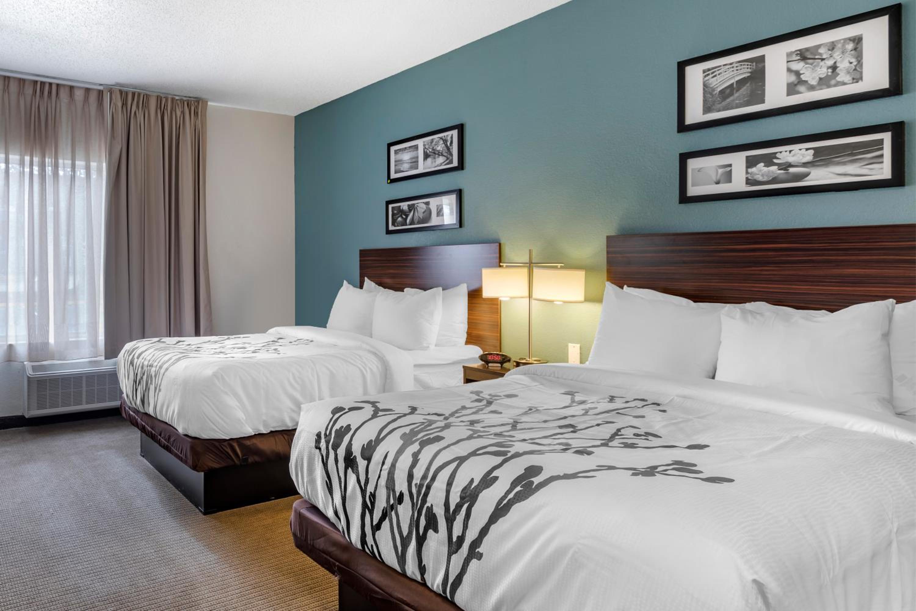 Standard Double Room with Two Double Beds - Non-Smoking - Photo 8