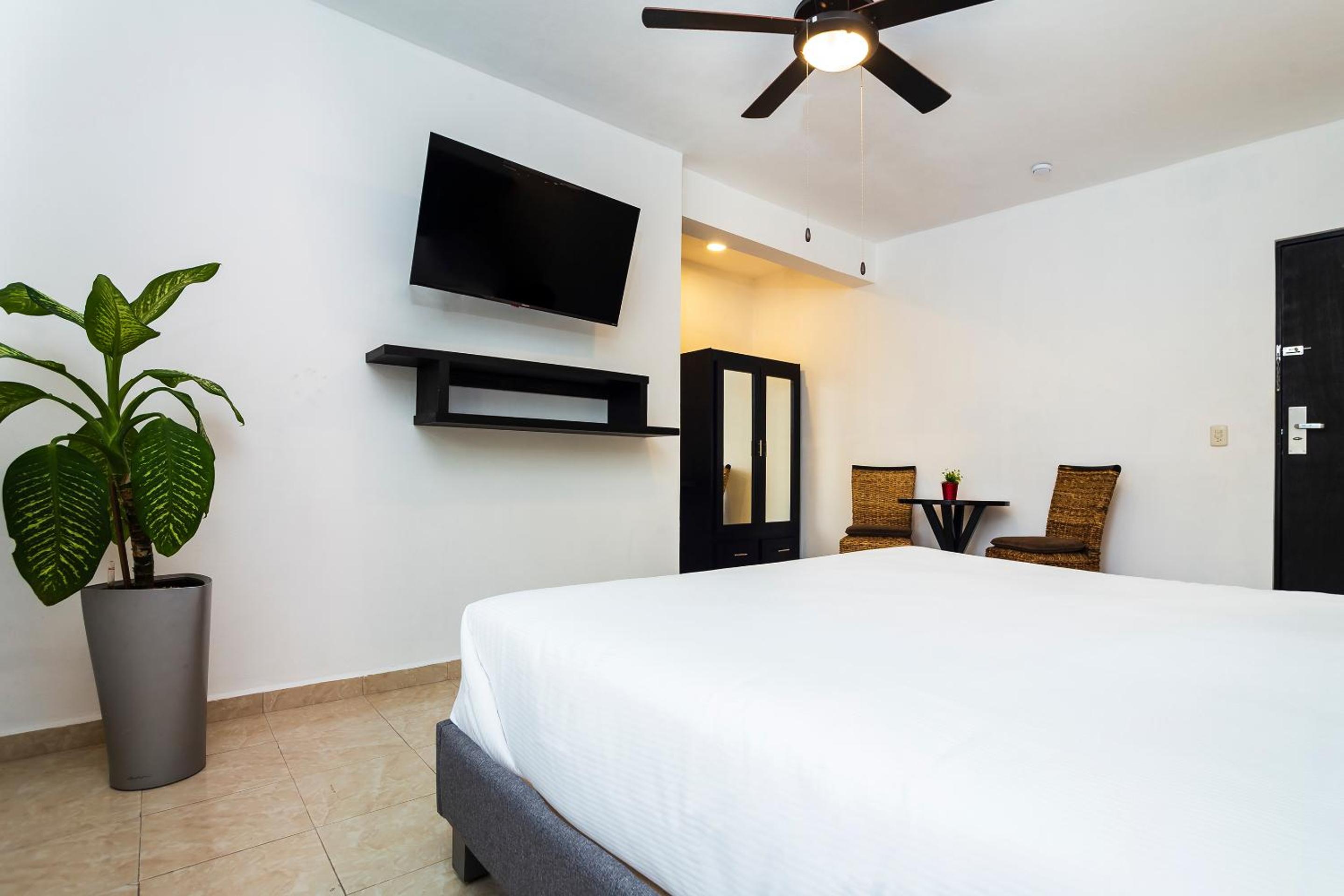 King Suite - Photo 5