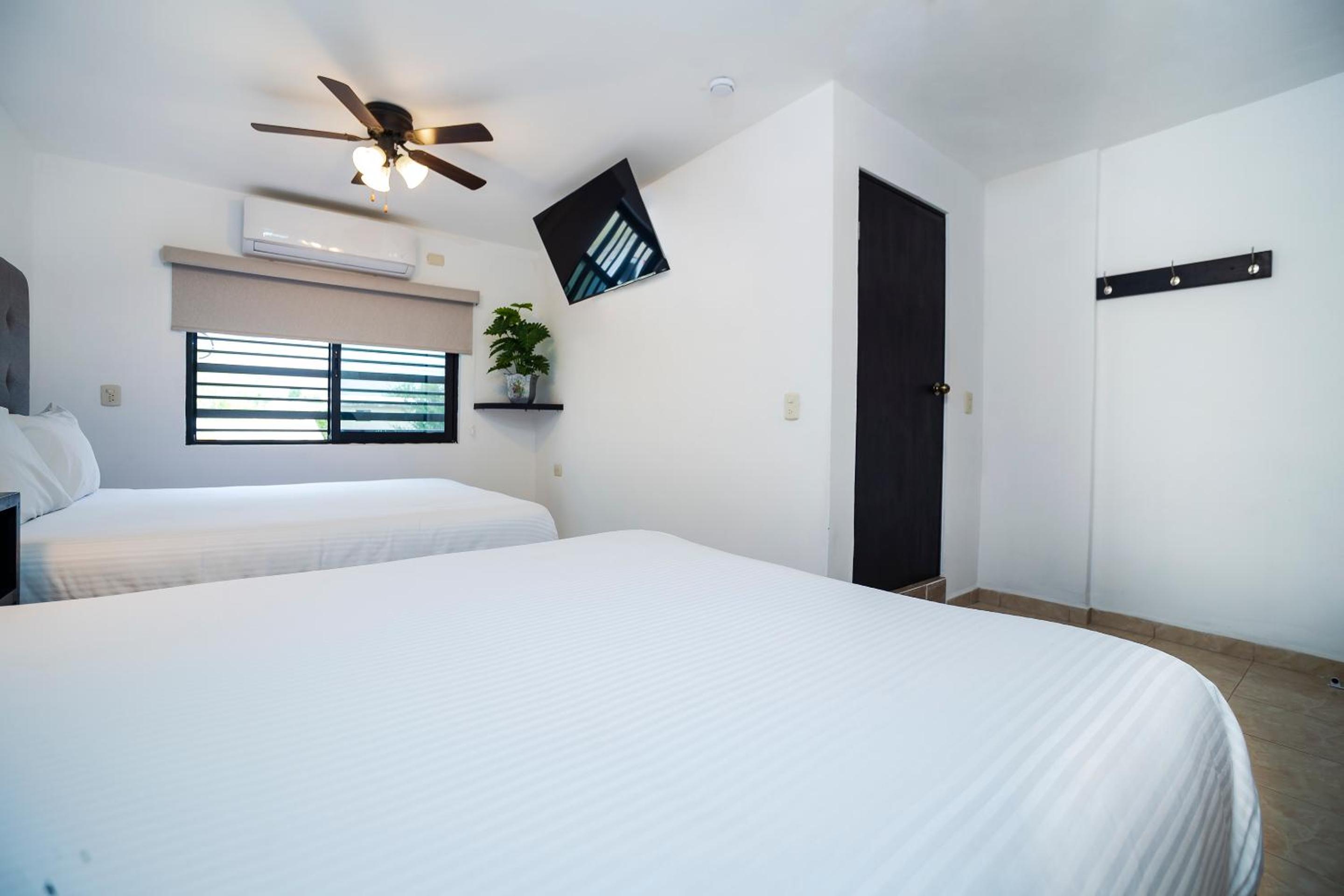 Standard Double Suite photo 2