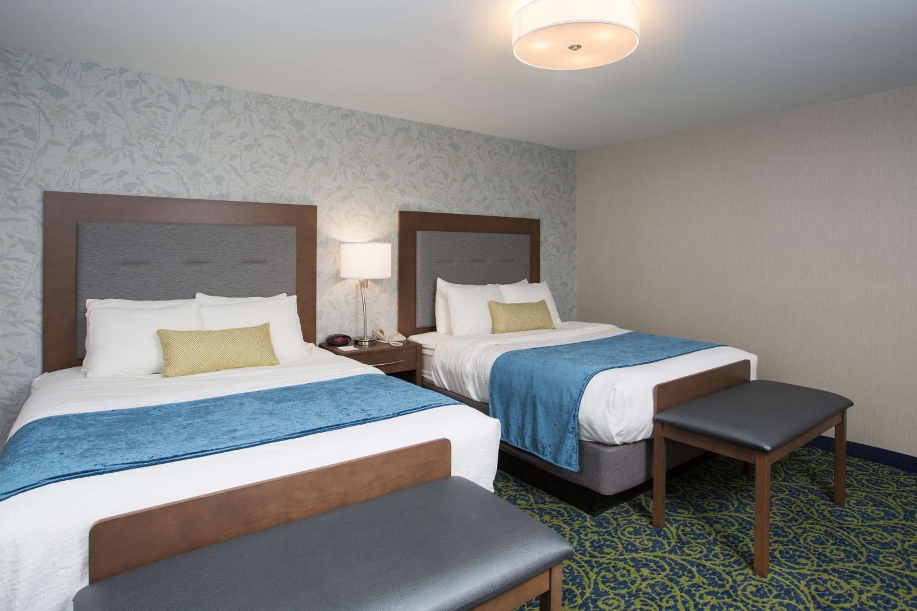 Queen Suite with Two Queen Beds, Walk-In Shower, Living Room and Full Kitchen - Disability/Non-Smoking photo 1