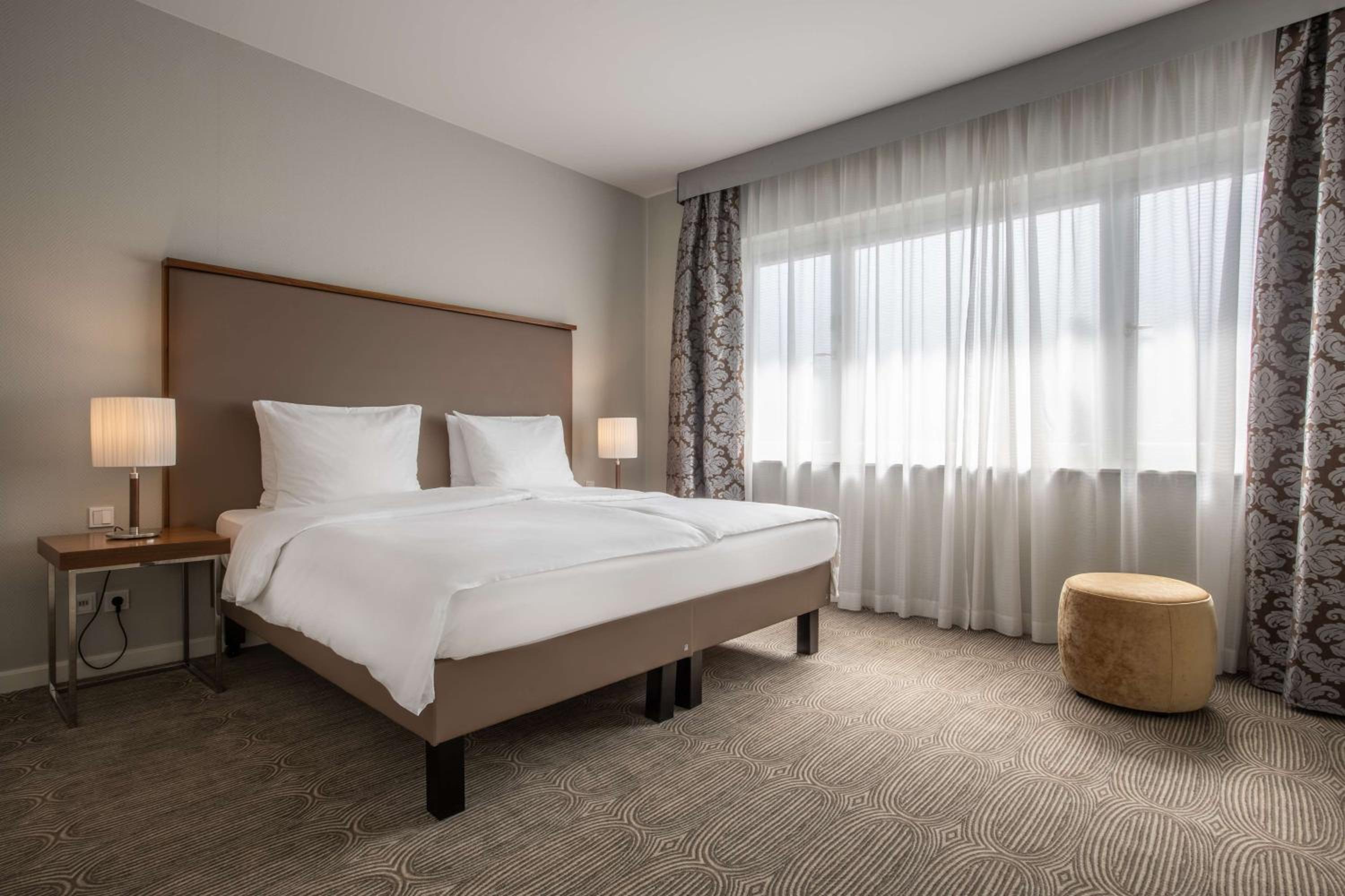 Suite - Photo 1