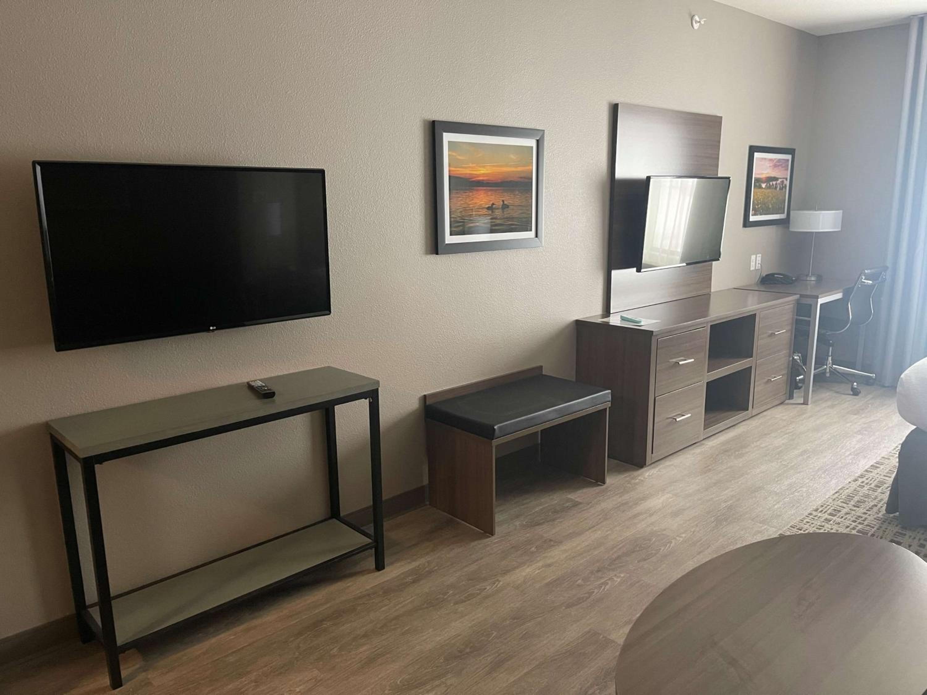 King Suite with Country View - Photo 10
