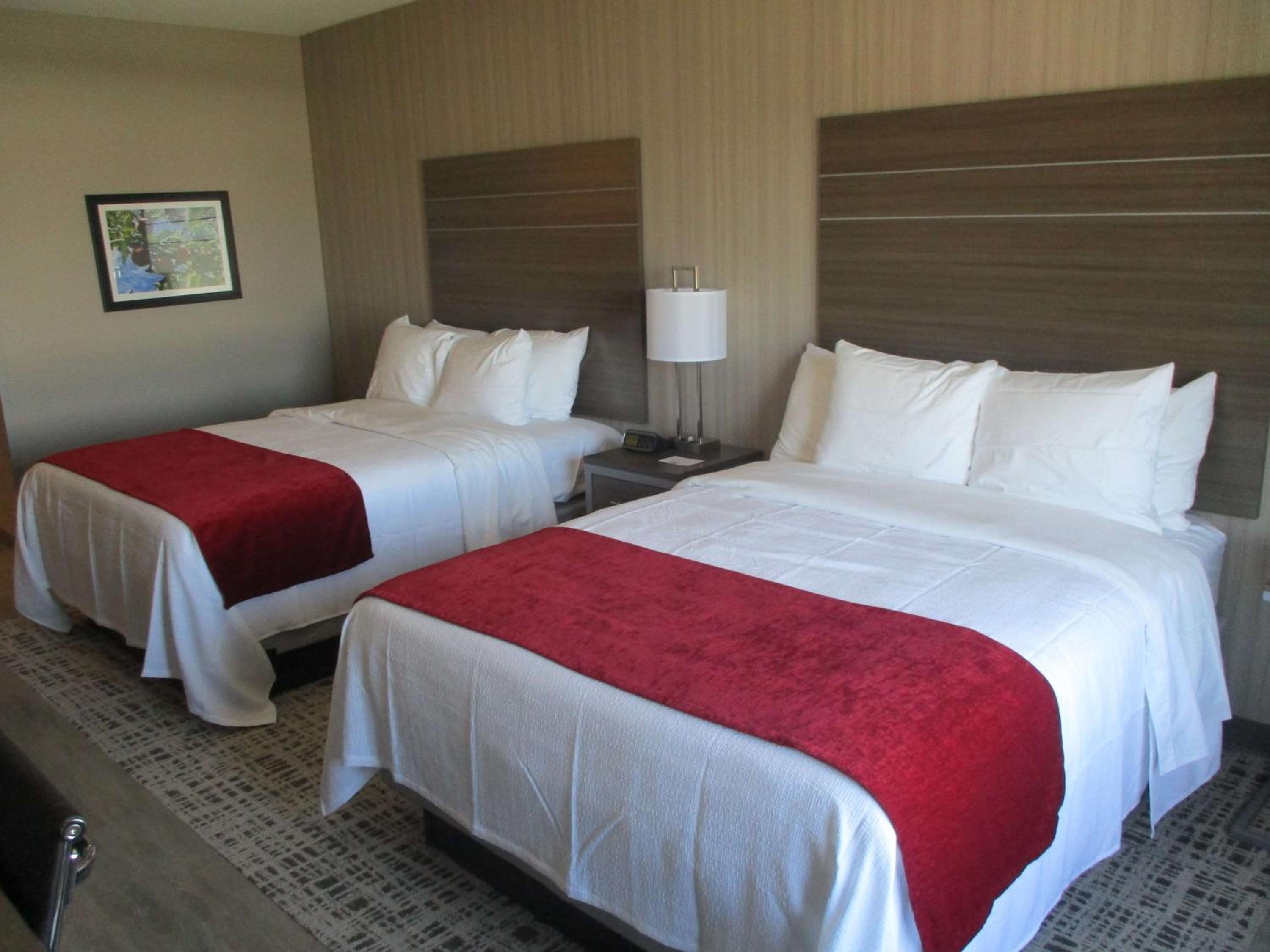 Queen Room with Two Queen Beds - Non-Smoking - Photo 1