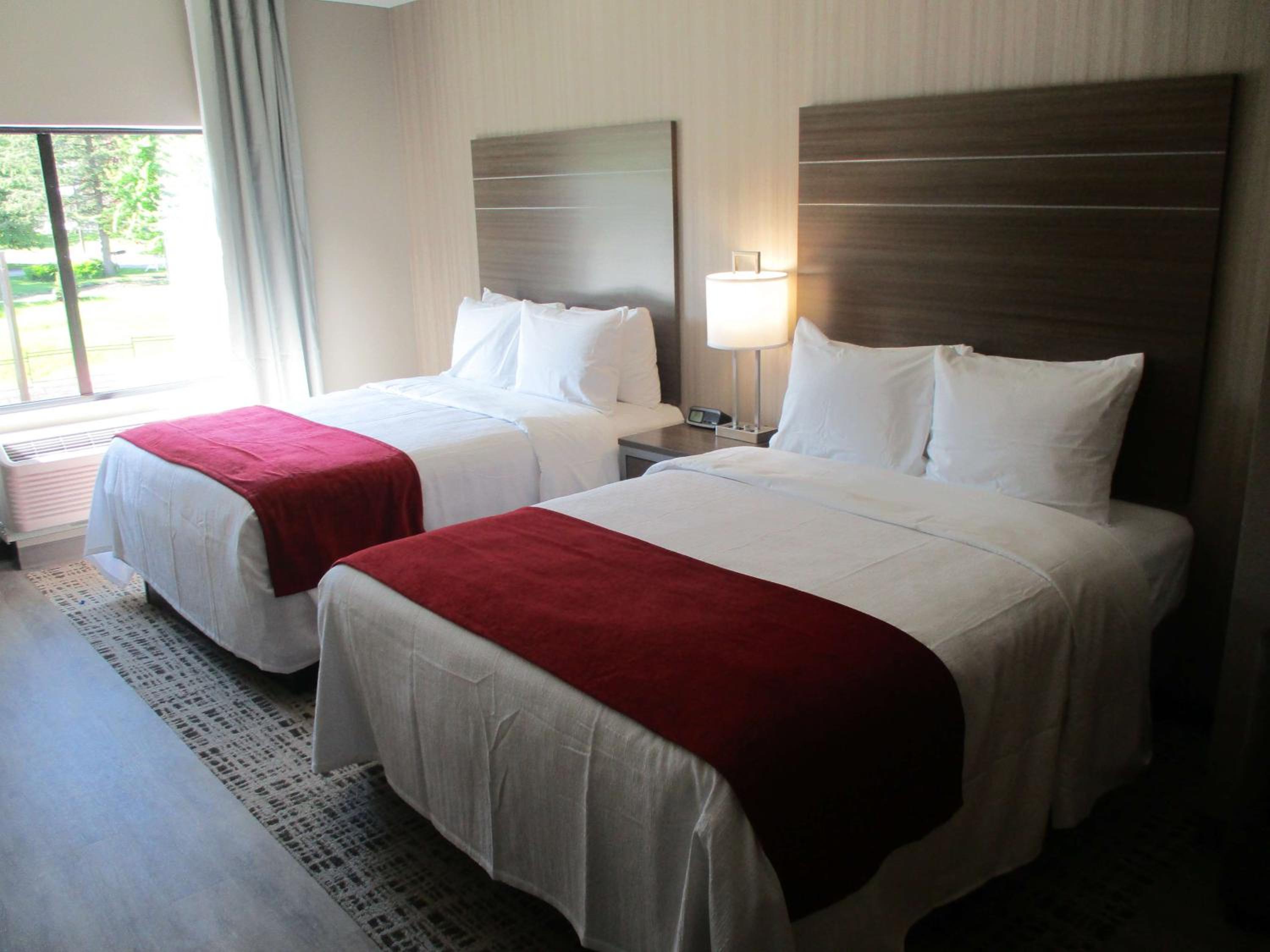 Queen Suite with Two Queen Beds, Walk-In Shower and Sofa Bed - Disability Access/Non-Smoking - Photo 3