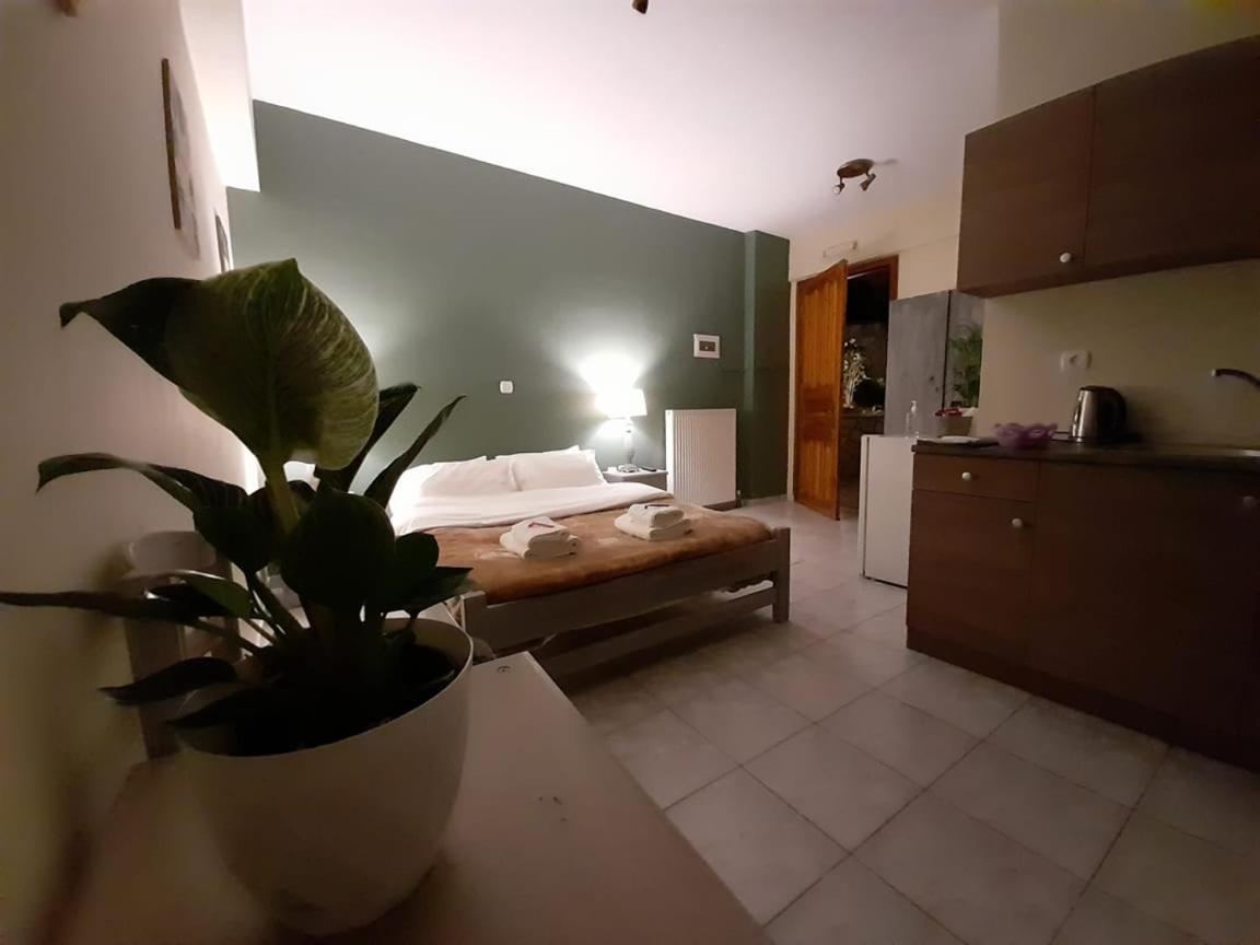 One-Bedroom Apartment photo 1