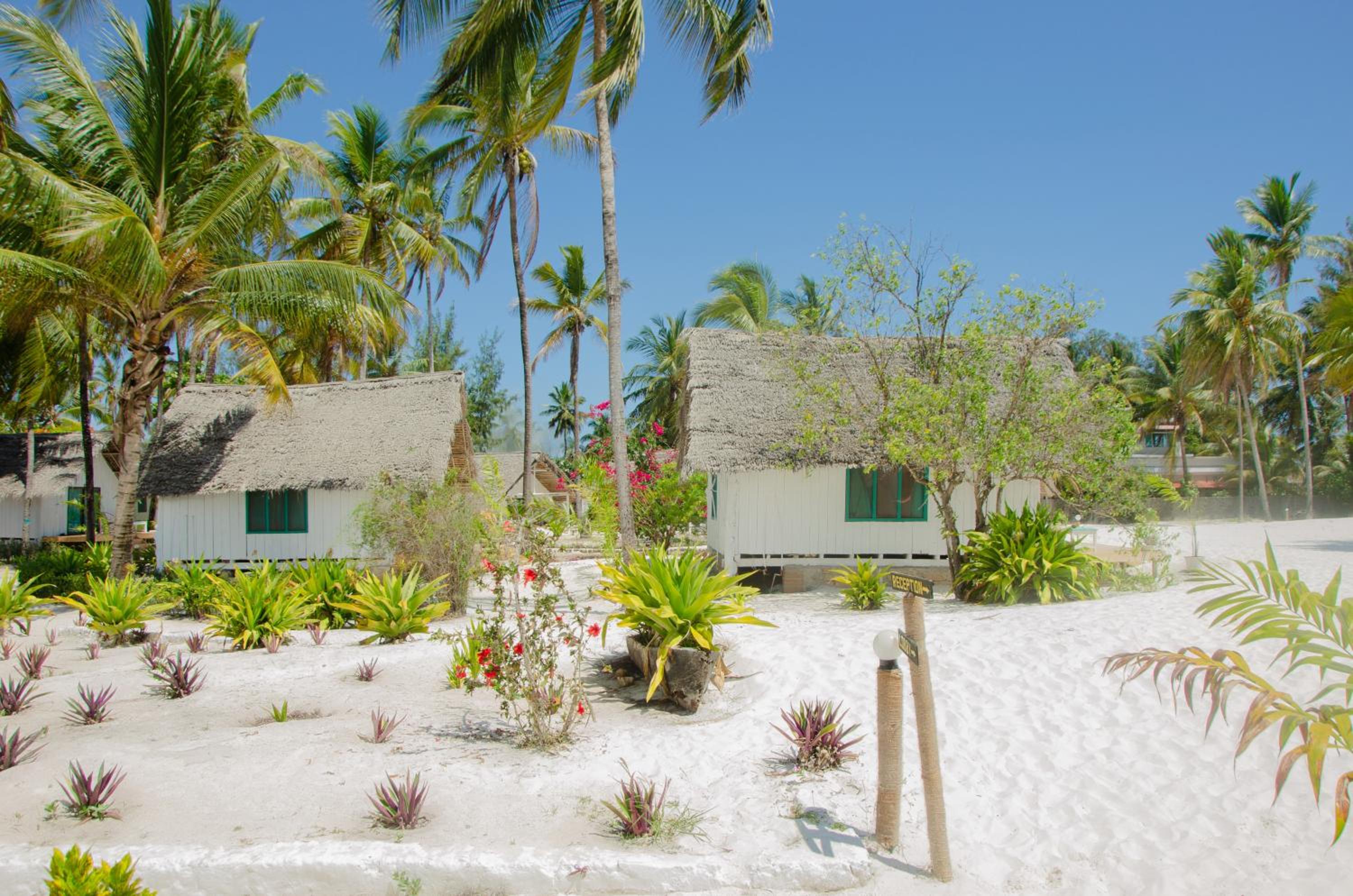 Eco Bungalow Sea View
