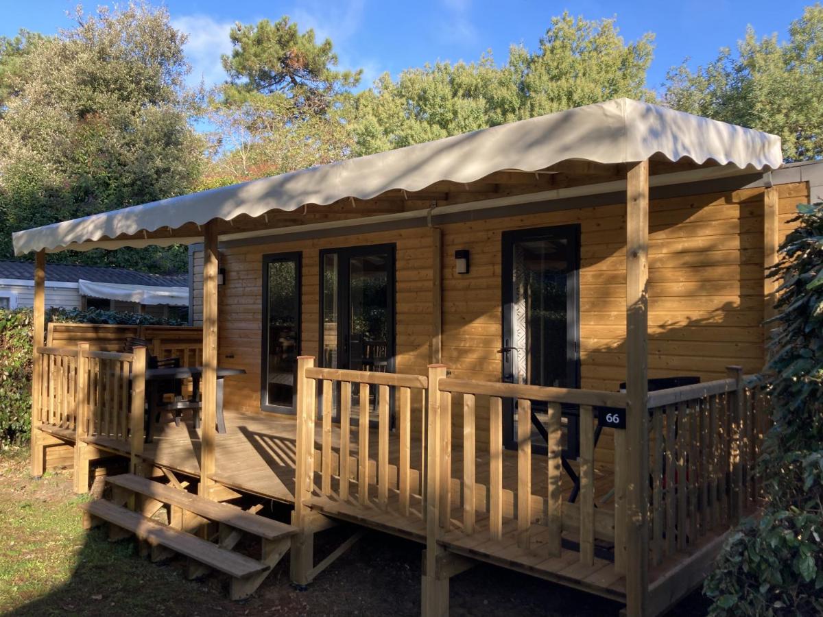 Mobile Home photo 1