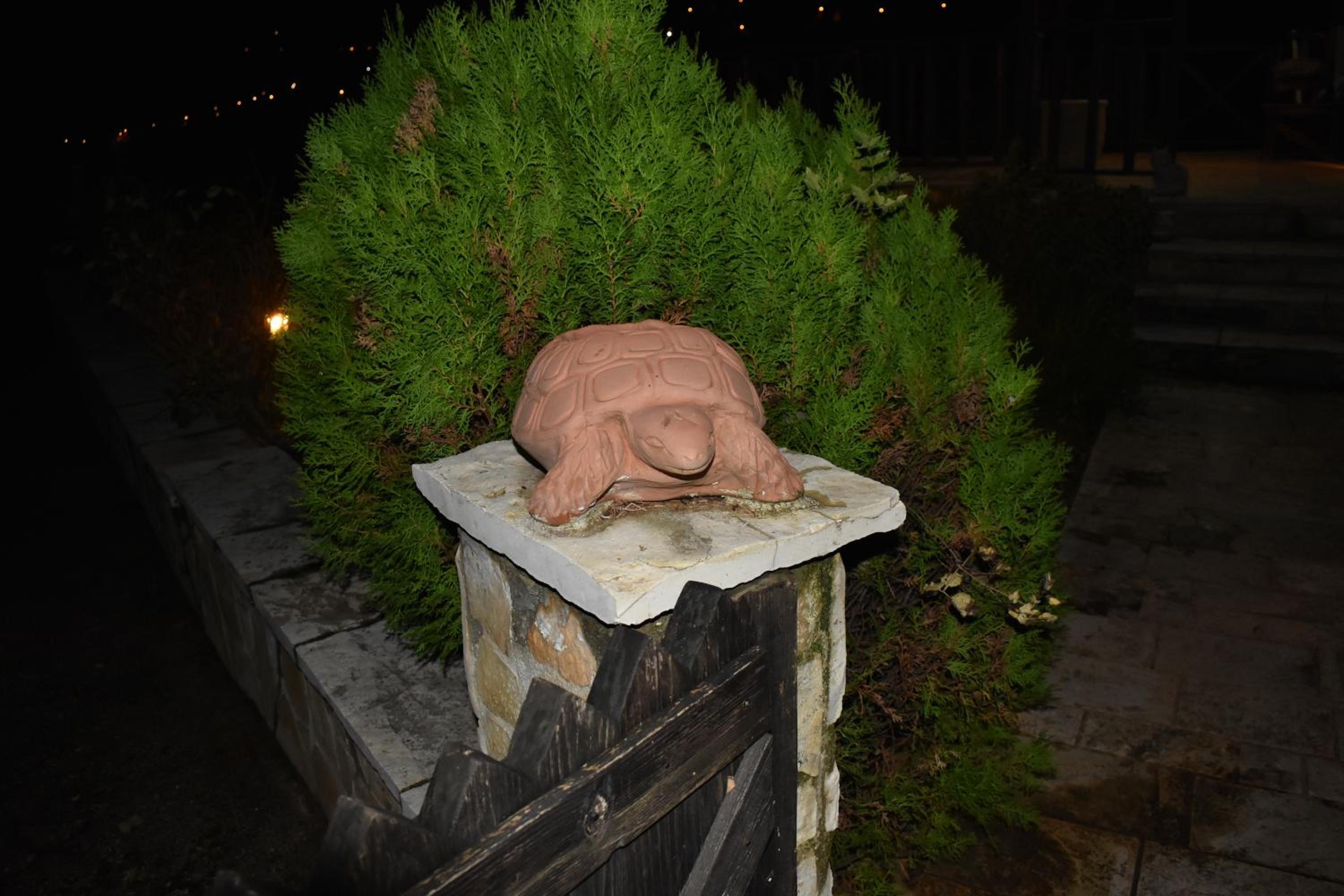 Villa photo 2