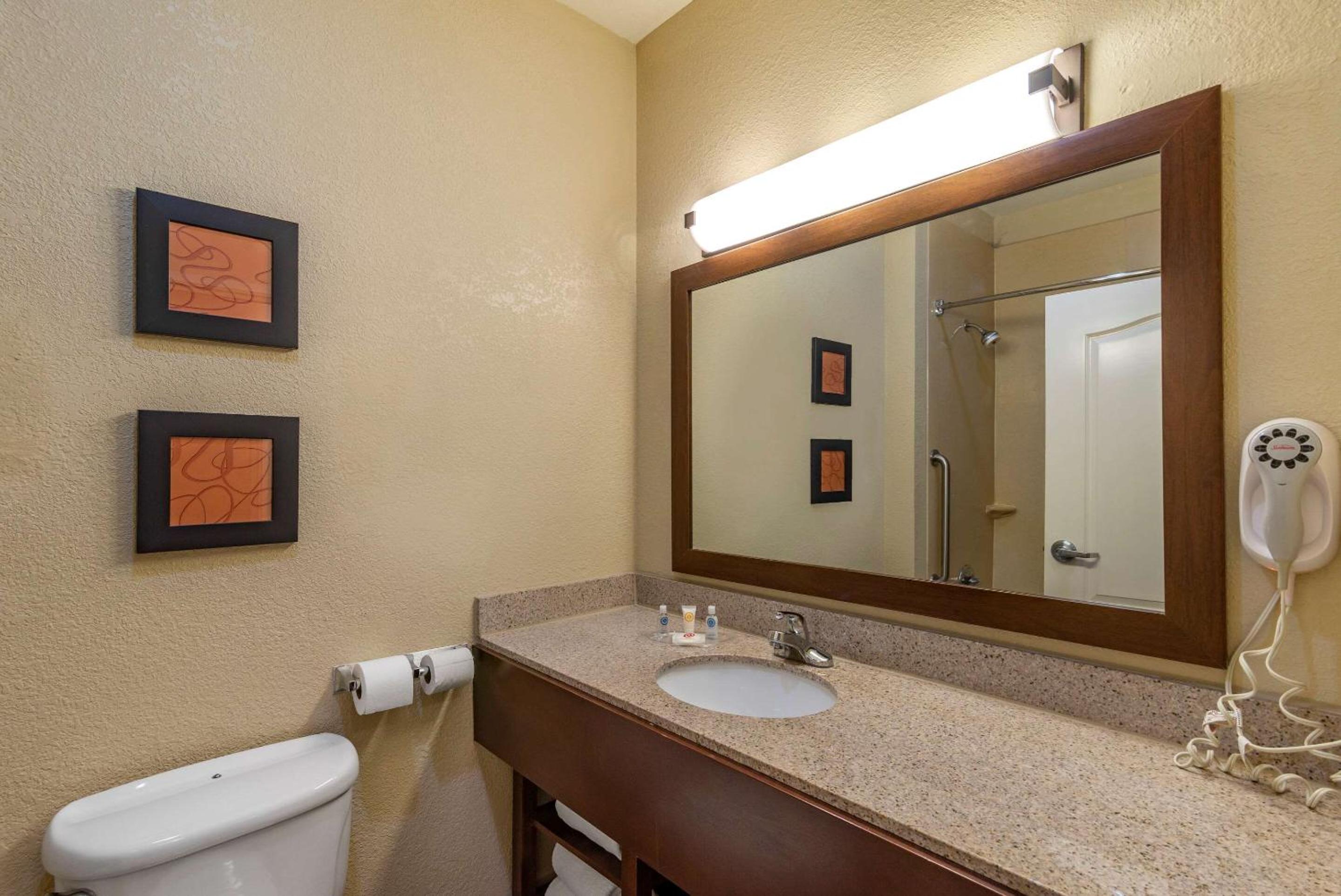 King Suite with Roll-In Shower - Accessible/Non-Smoking - Photo 6