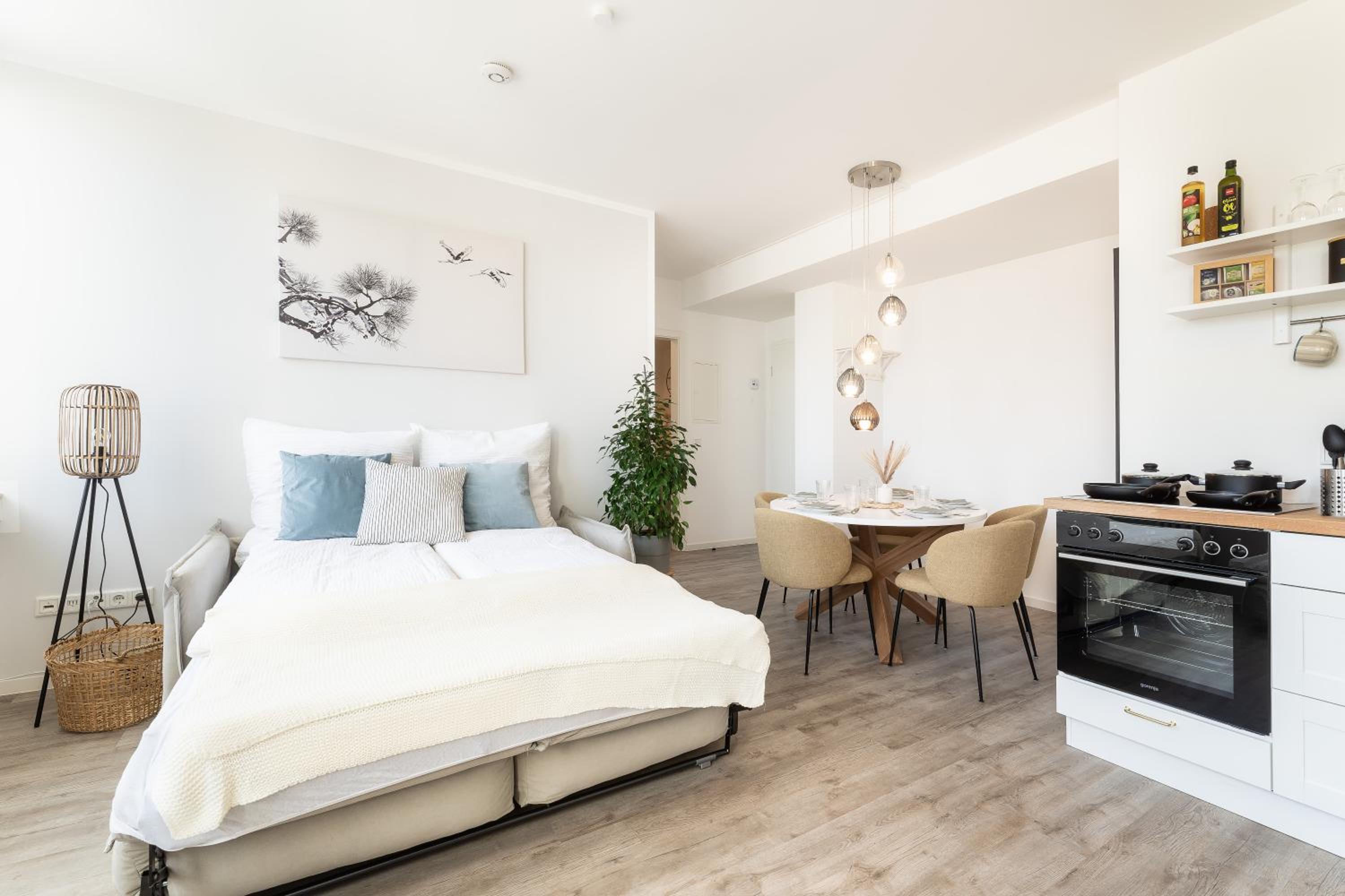 Suite Apartment - Photo 21