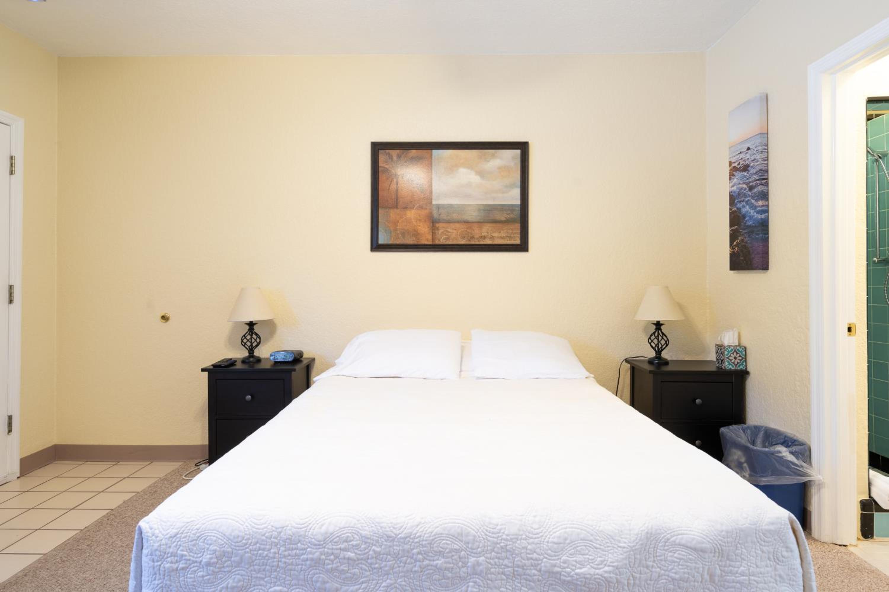 Deluxe King Suite - Photo 10