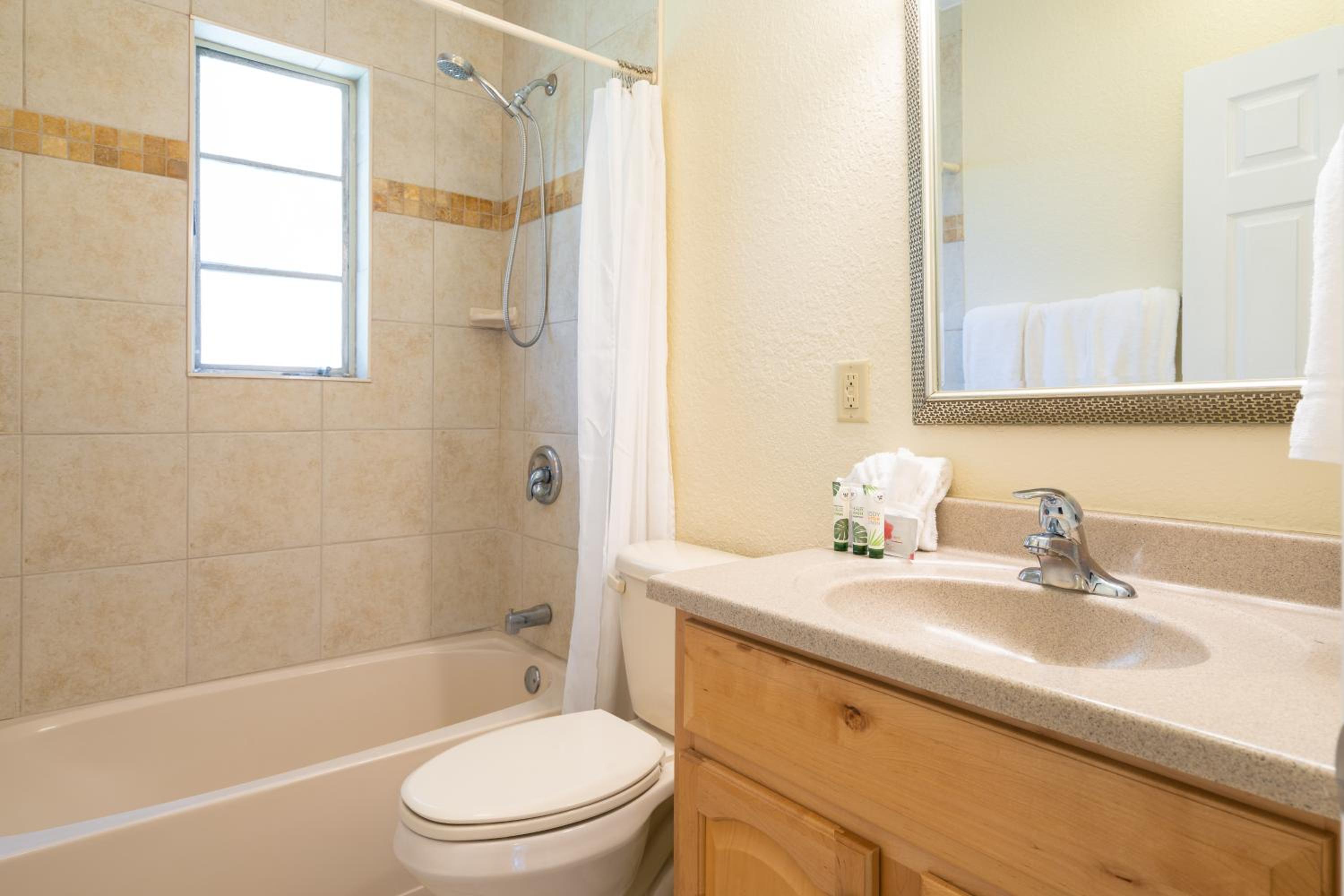 Deluxe King Suite - Photo 8