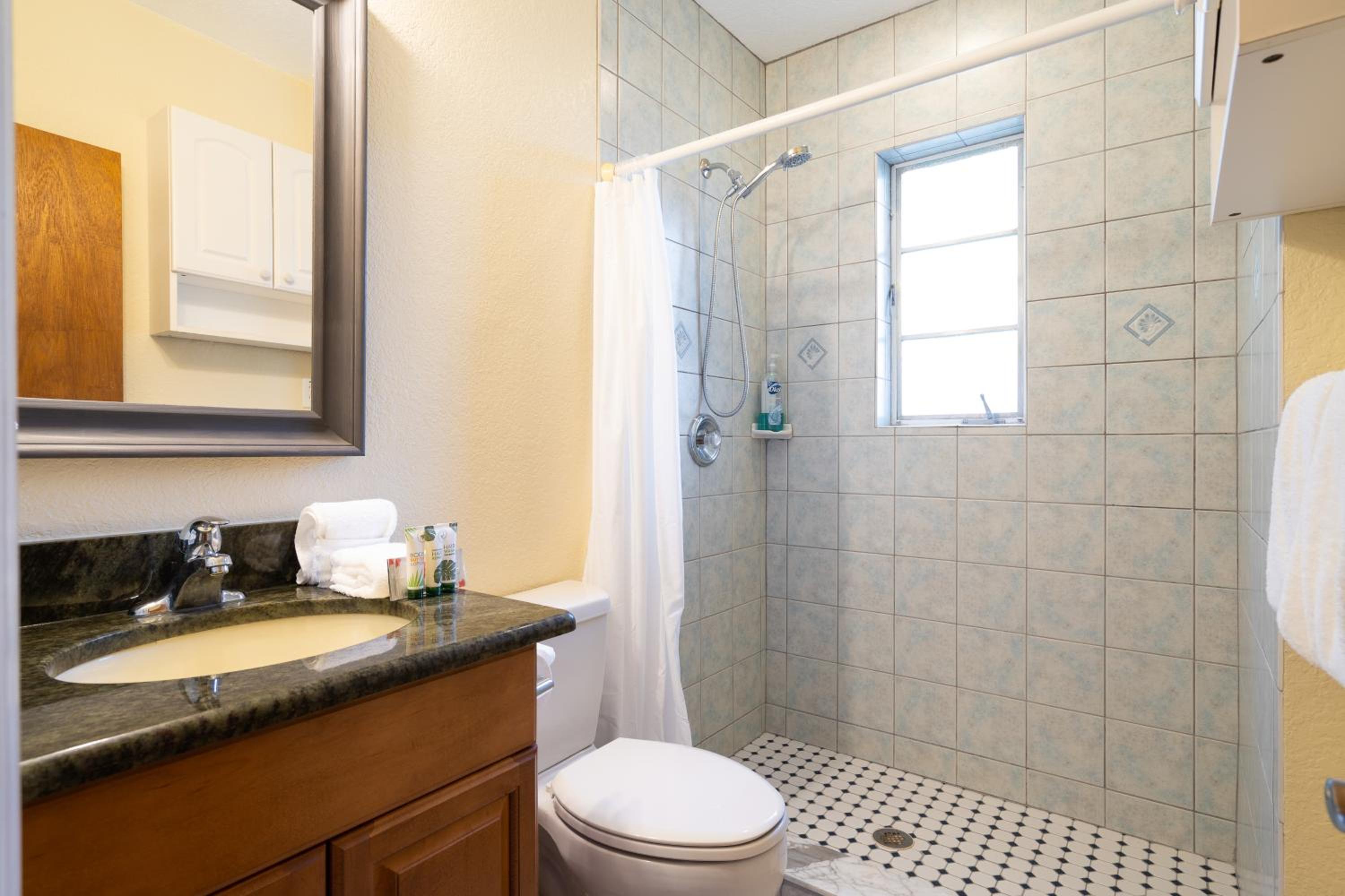 Deluxe King Suite - Photo 5