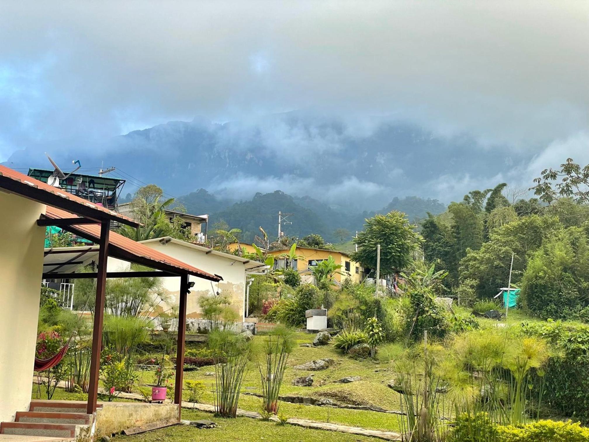 Superior Villa photo 3