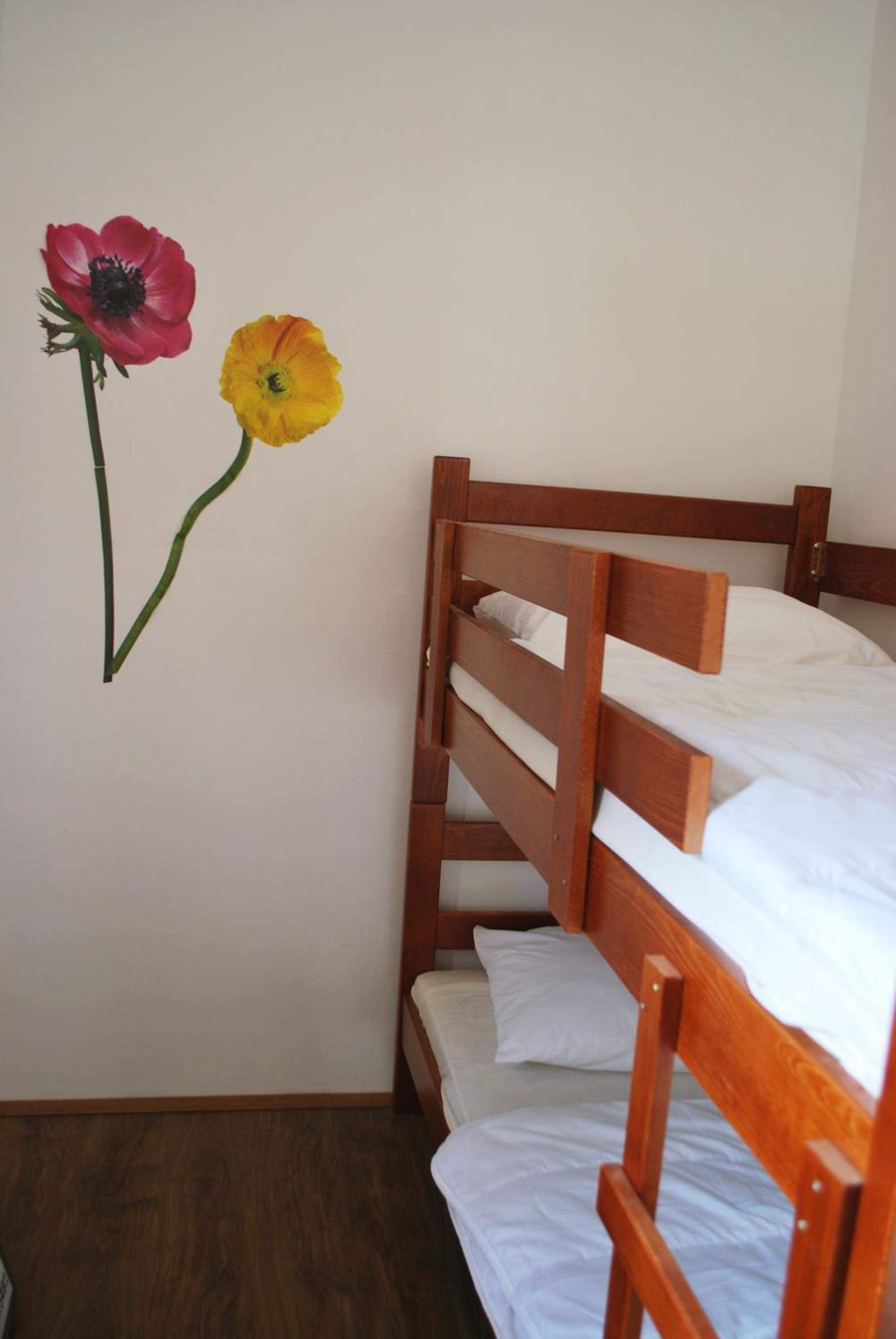 Apartment with Terrace photo 2